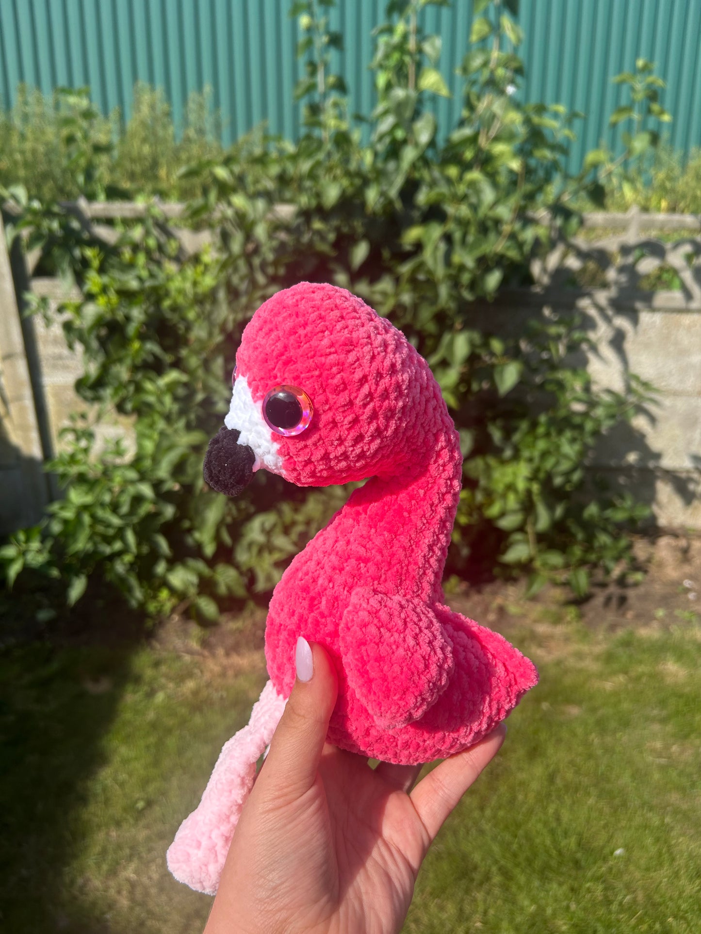 Flamingo