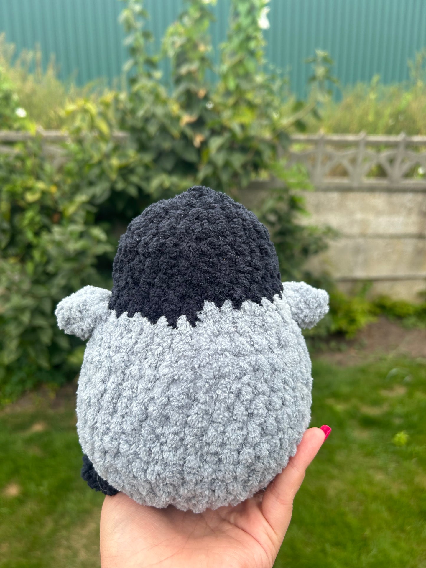 Chubby penguin
