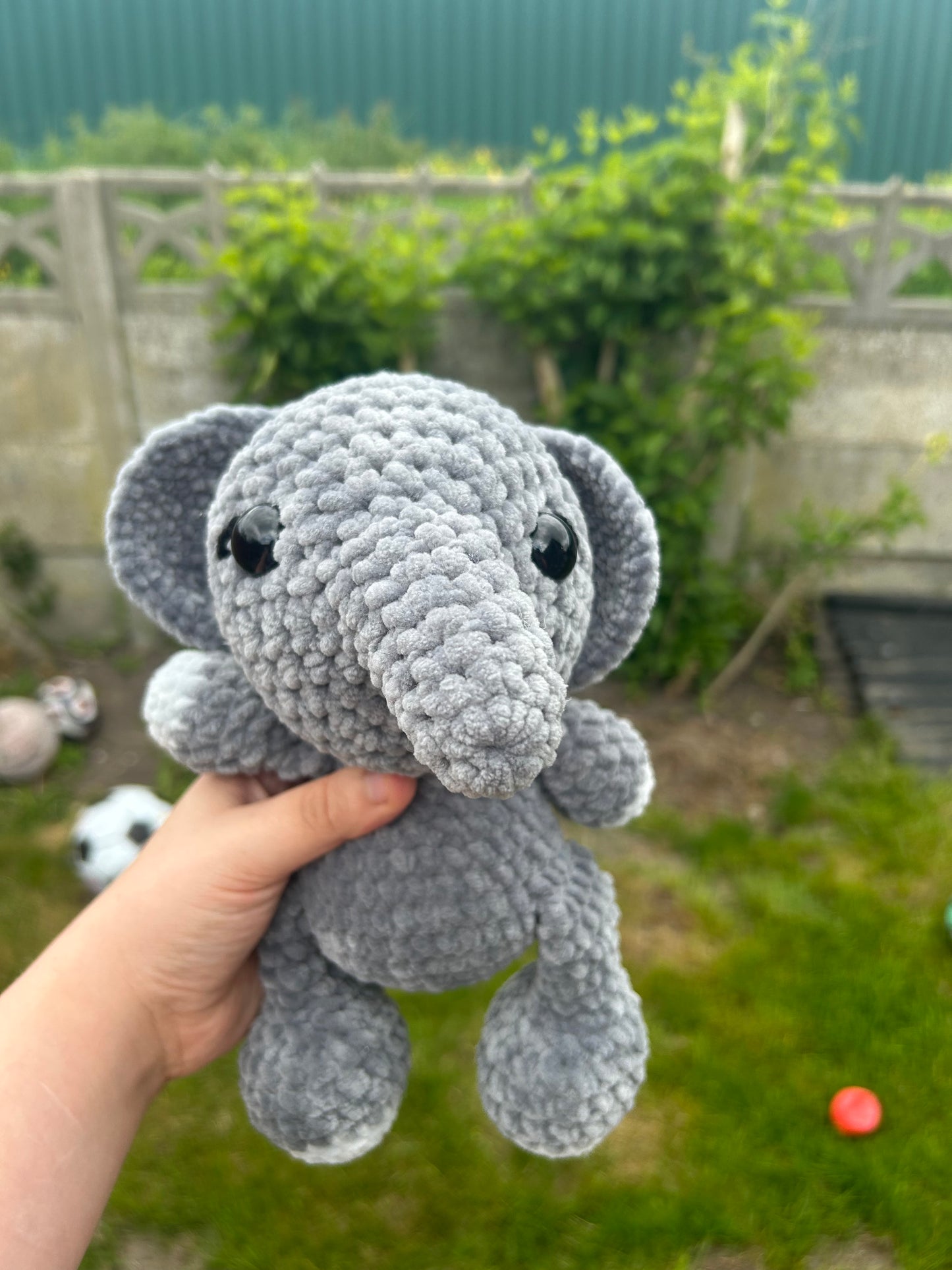 Baby elephant