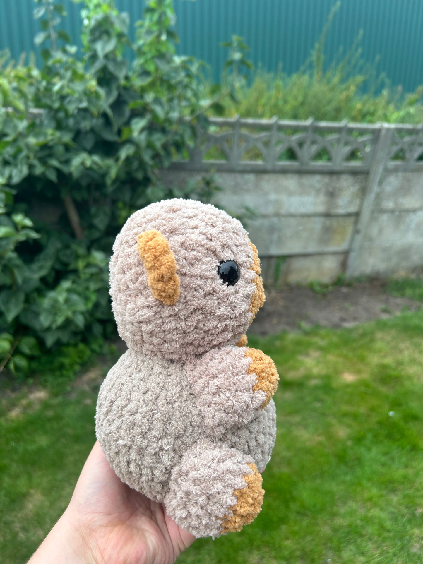 Chubby capybara