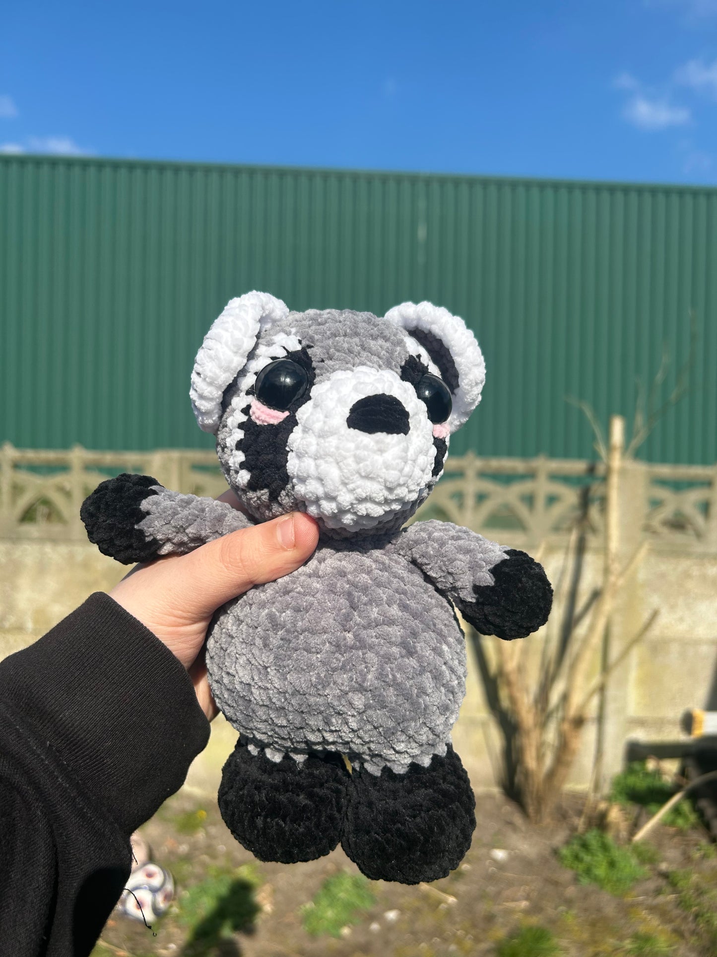 Raccoon