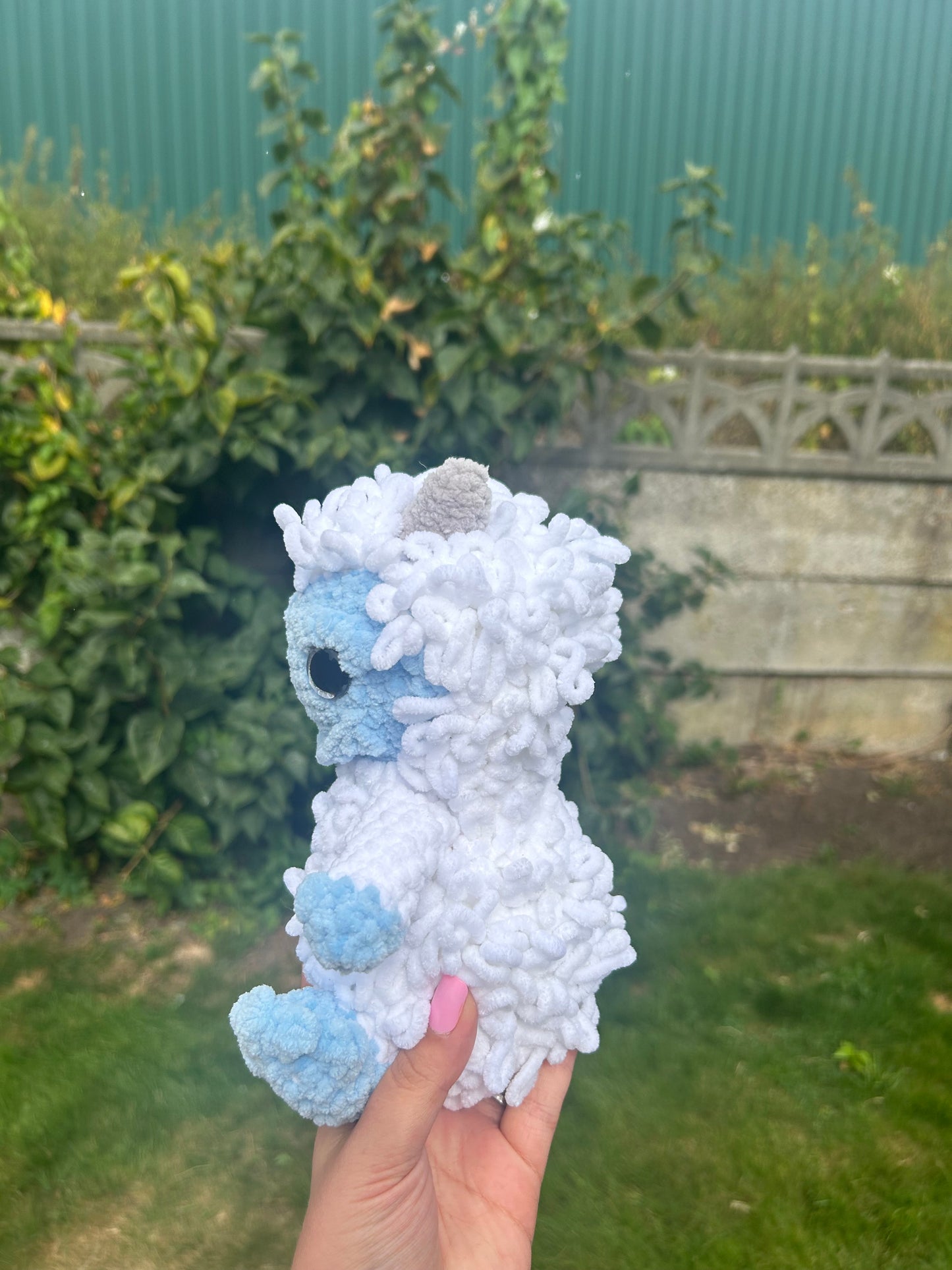 Yeti