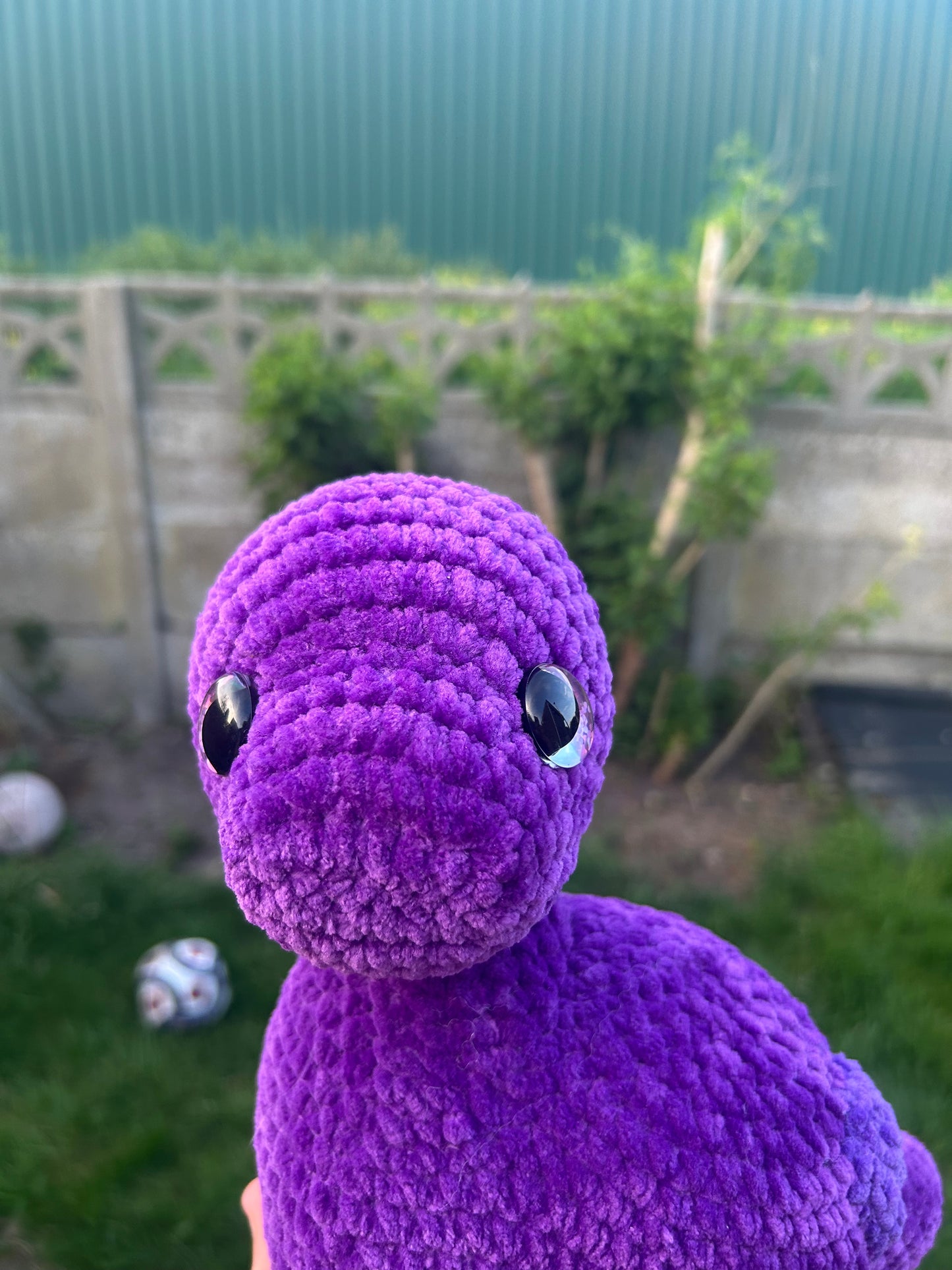 Brontosaurus