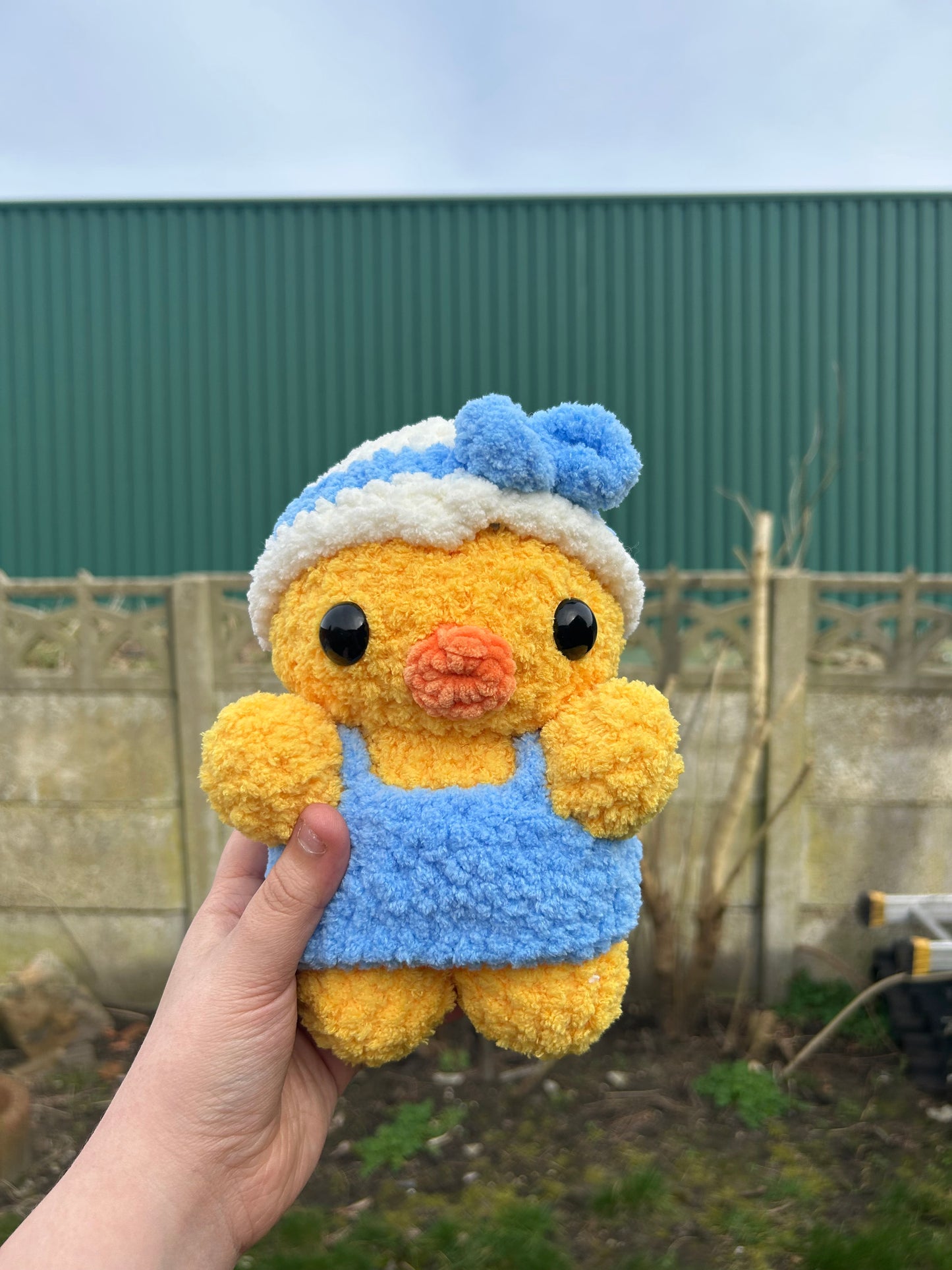 Dressup duck
