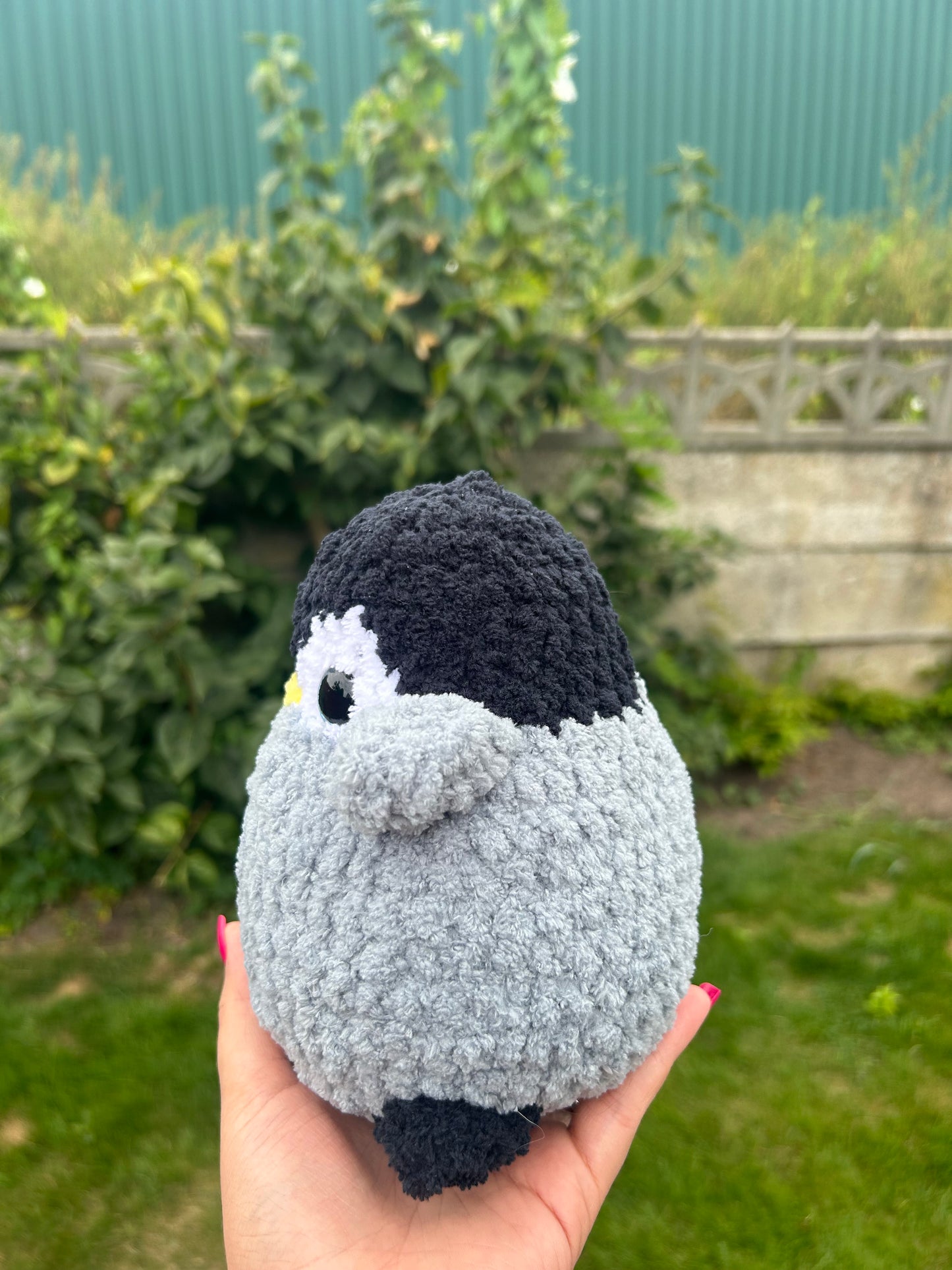 Chubby penguin