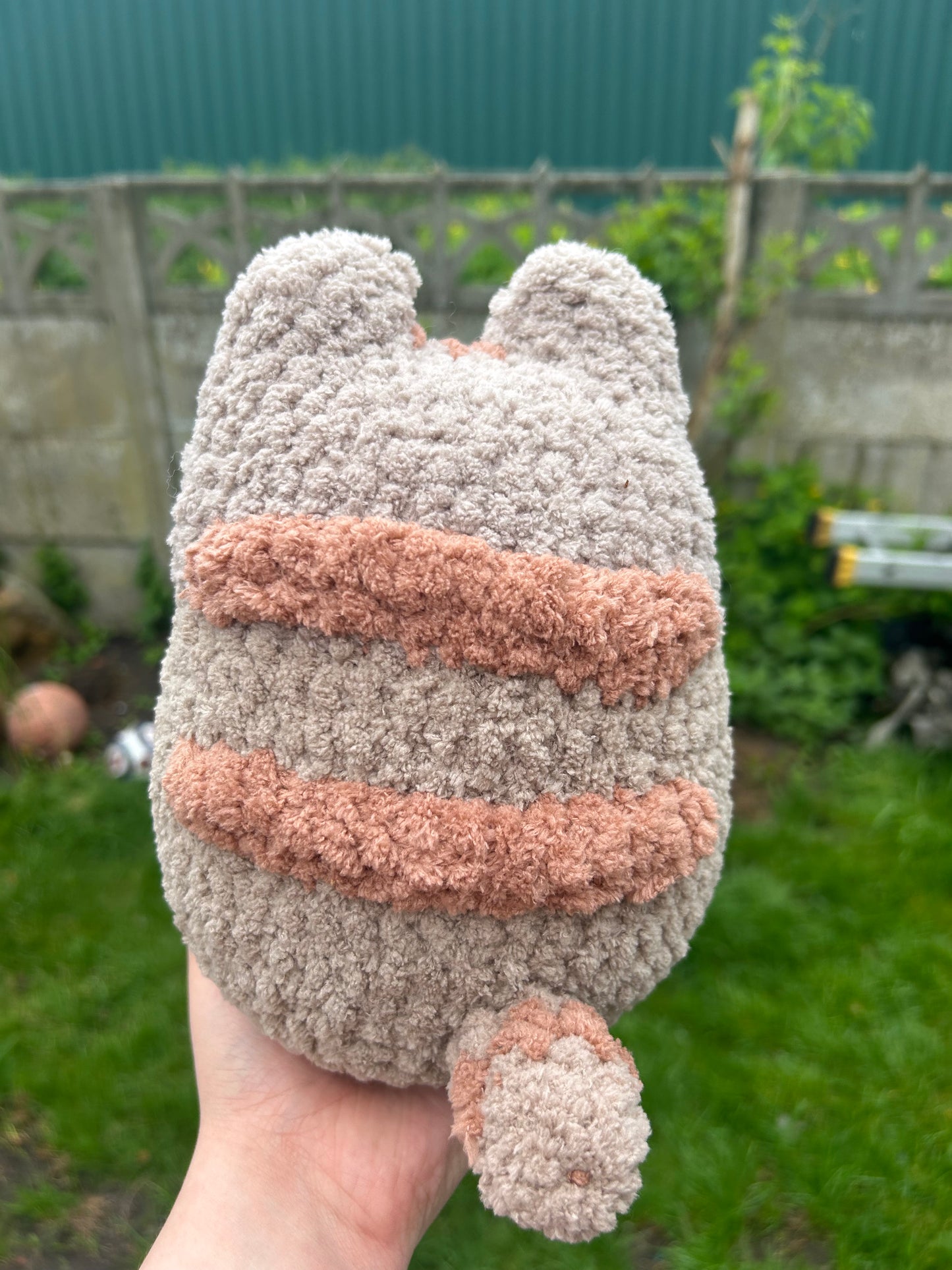 Chubby cat