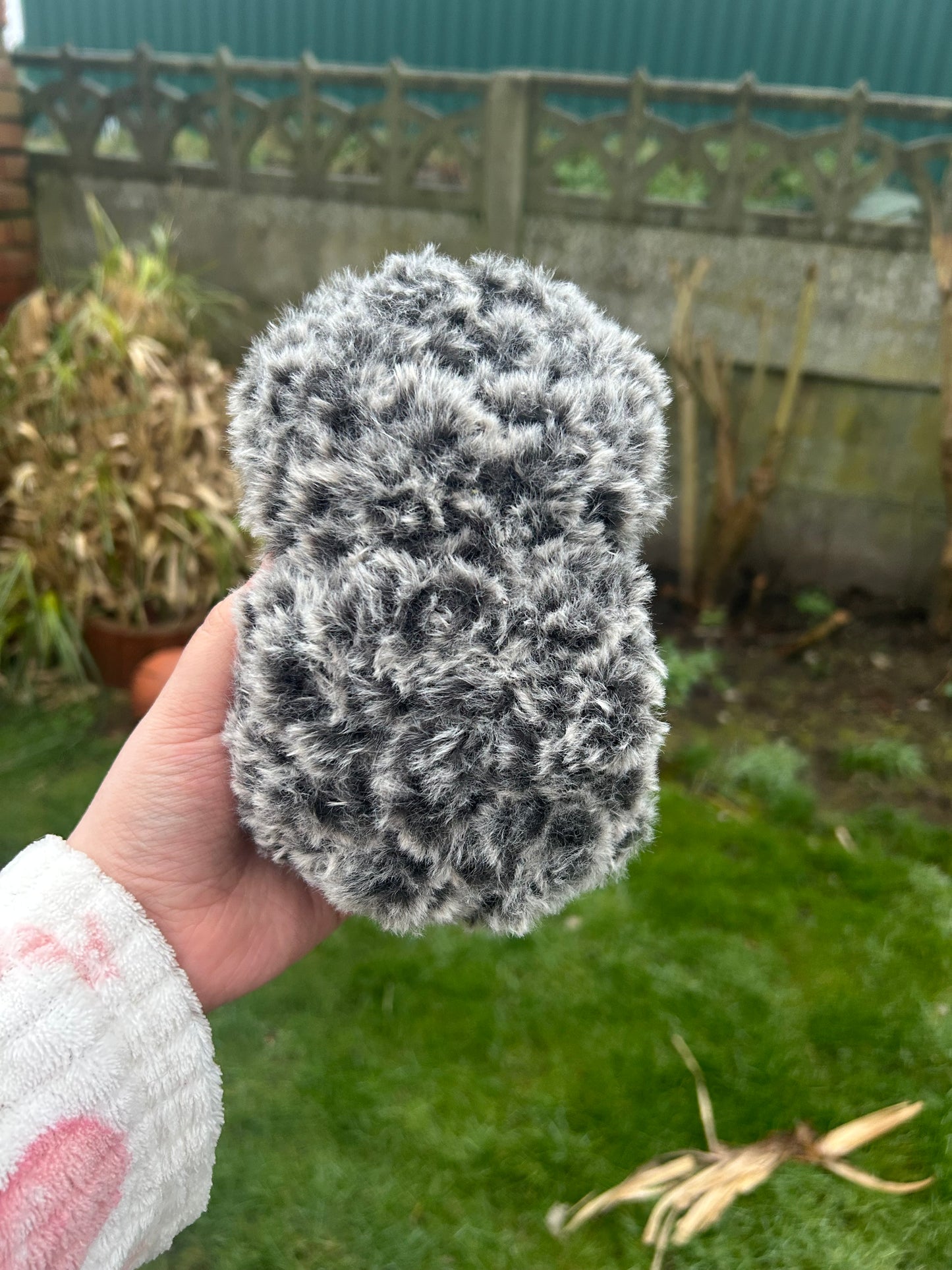 Grey hedgehog