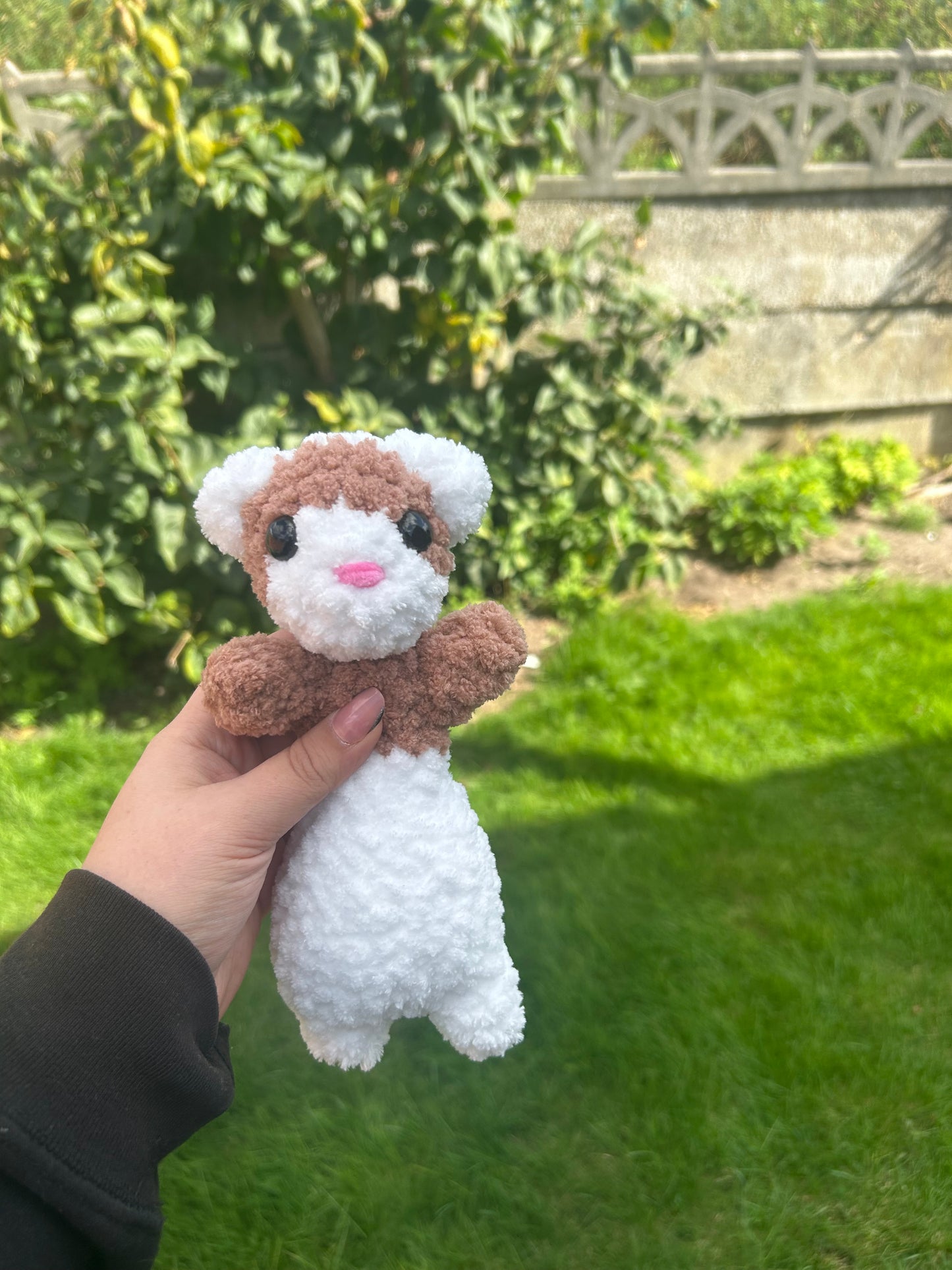 Ferret