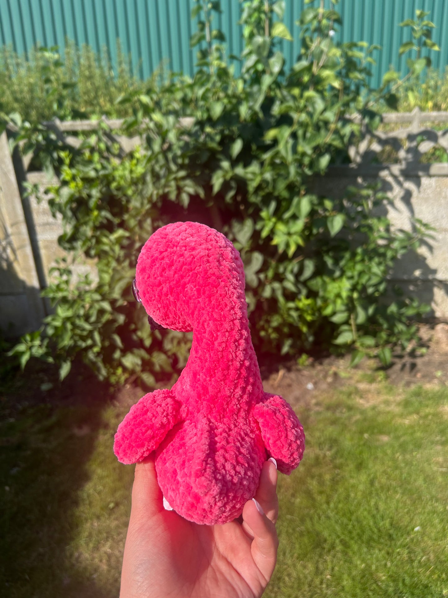 Flamingo