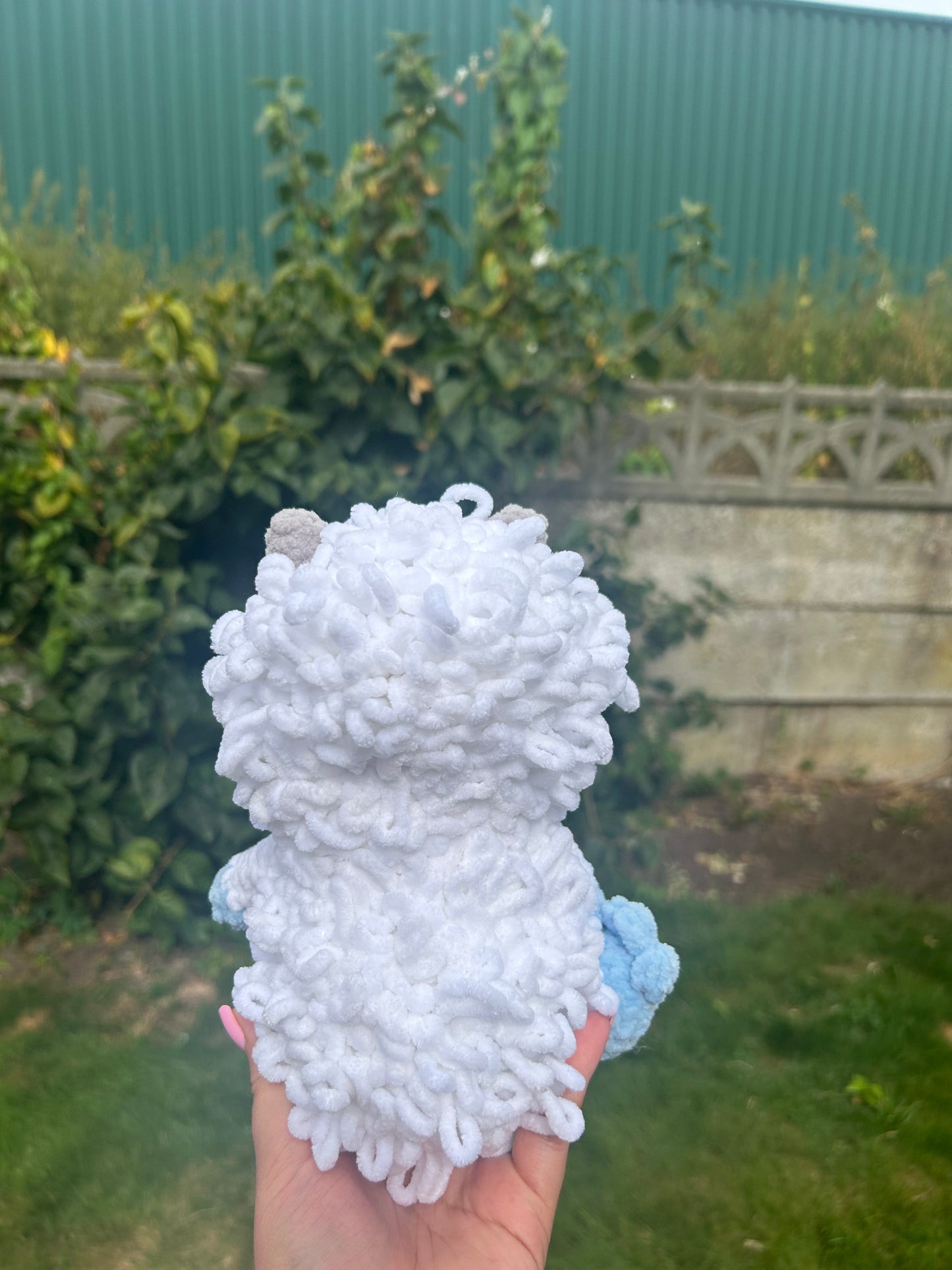 Yeti