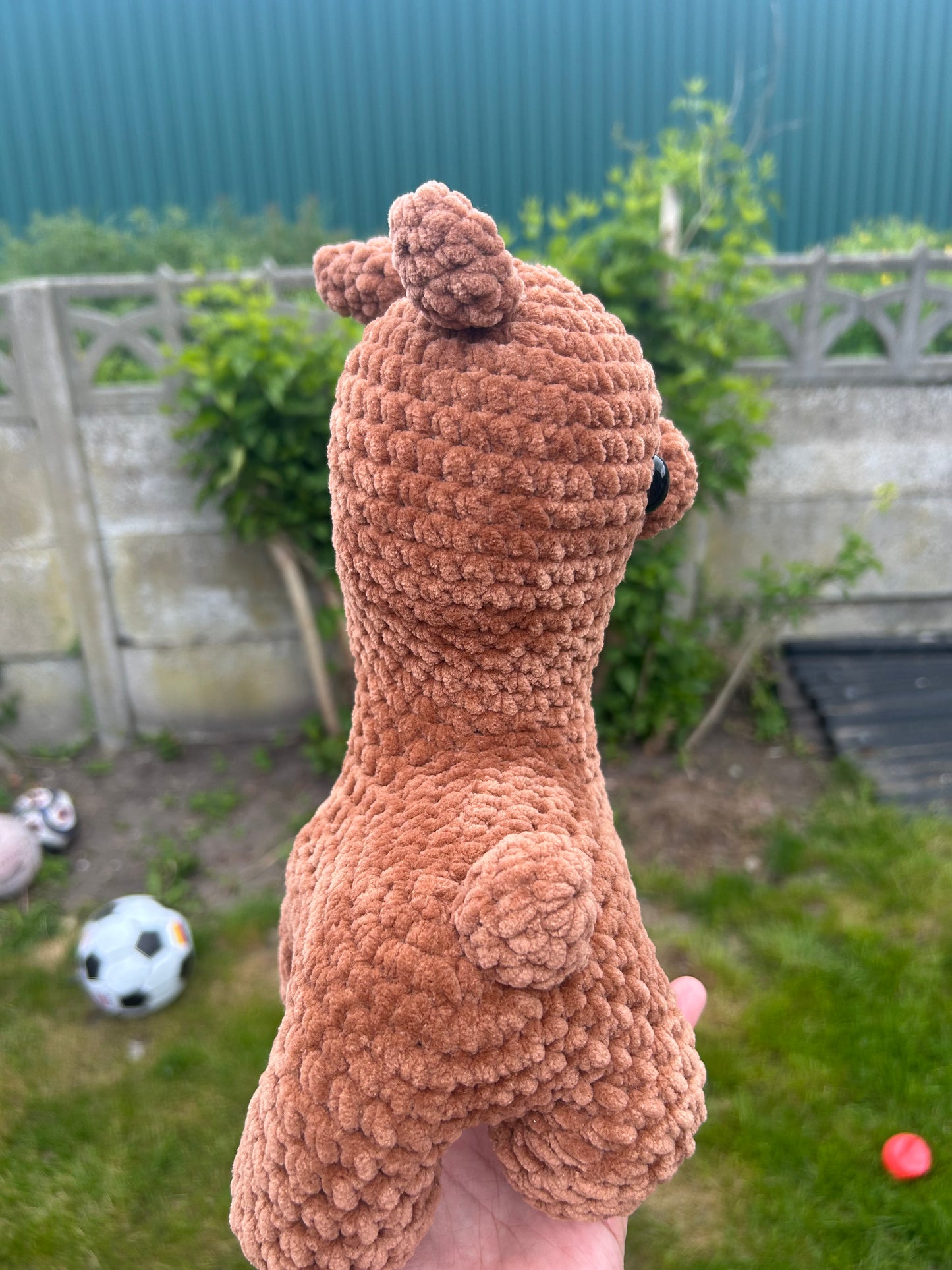 Llama