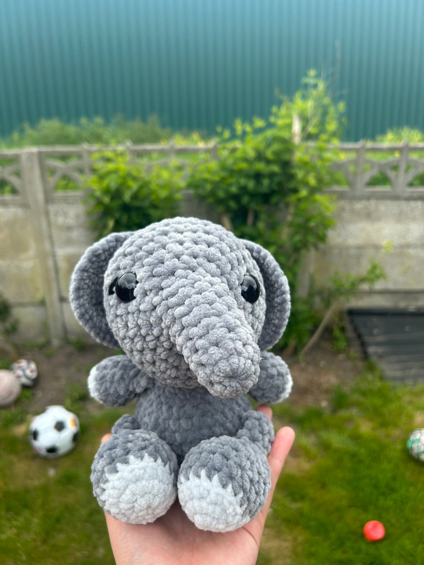 Baby elephant