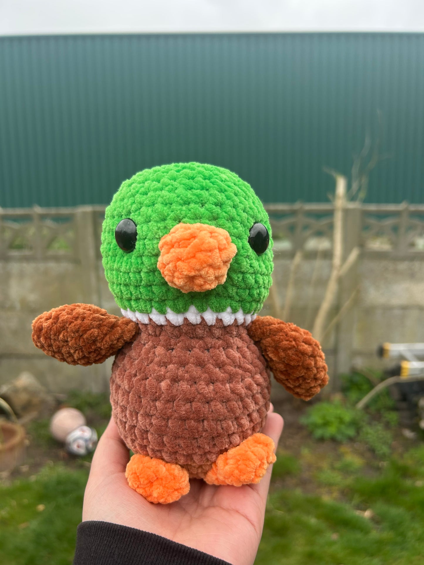 Duck