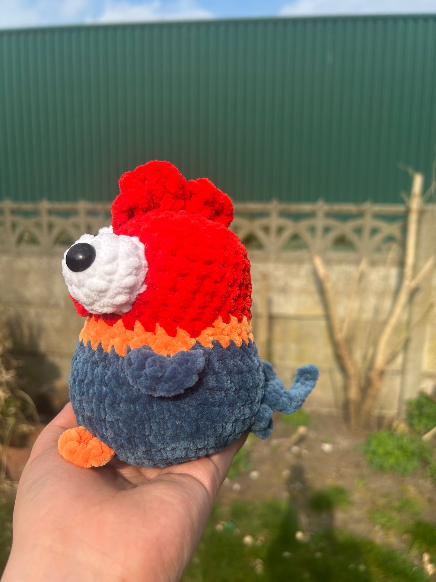 Little chick