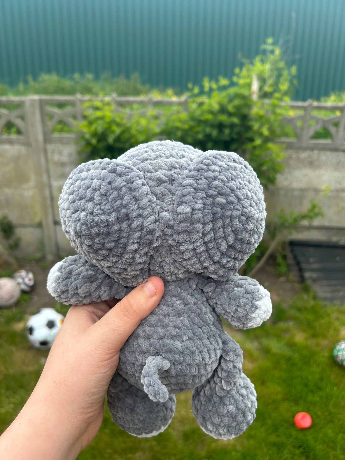Baby elephant