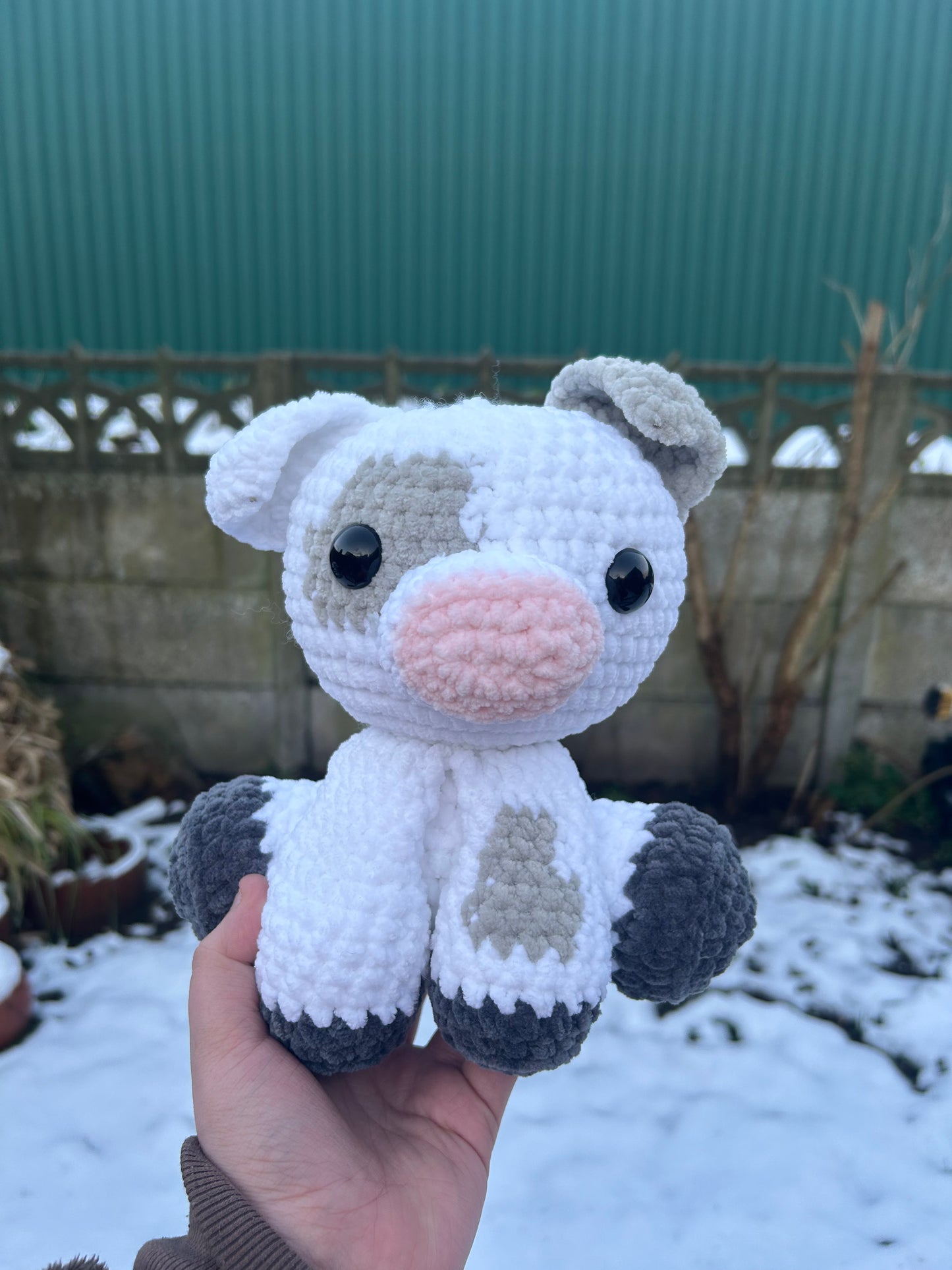 Pig