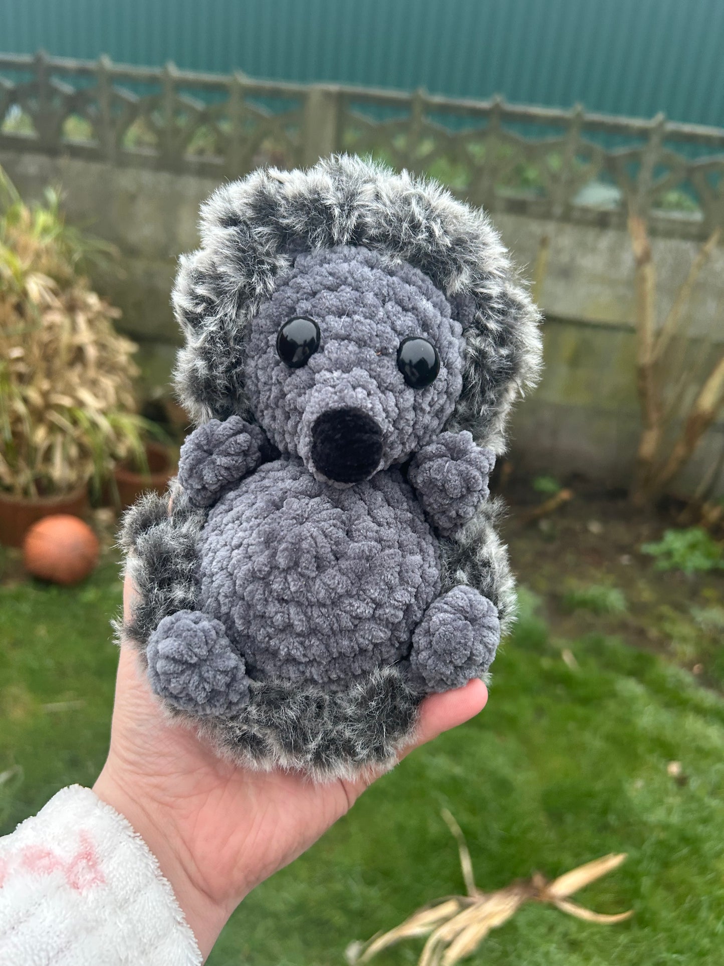 Grey hedgehog