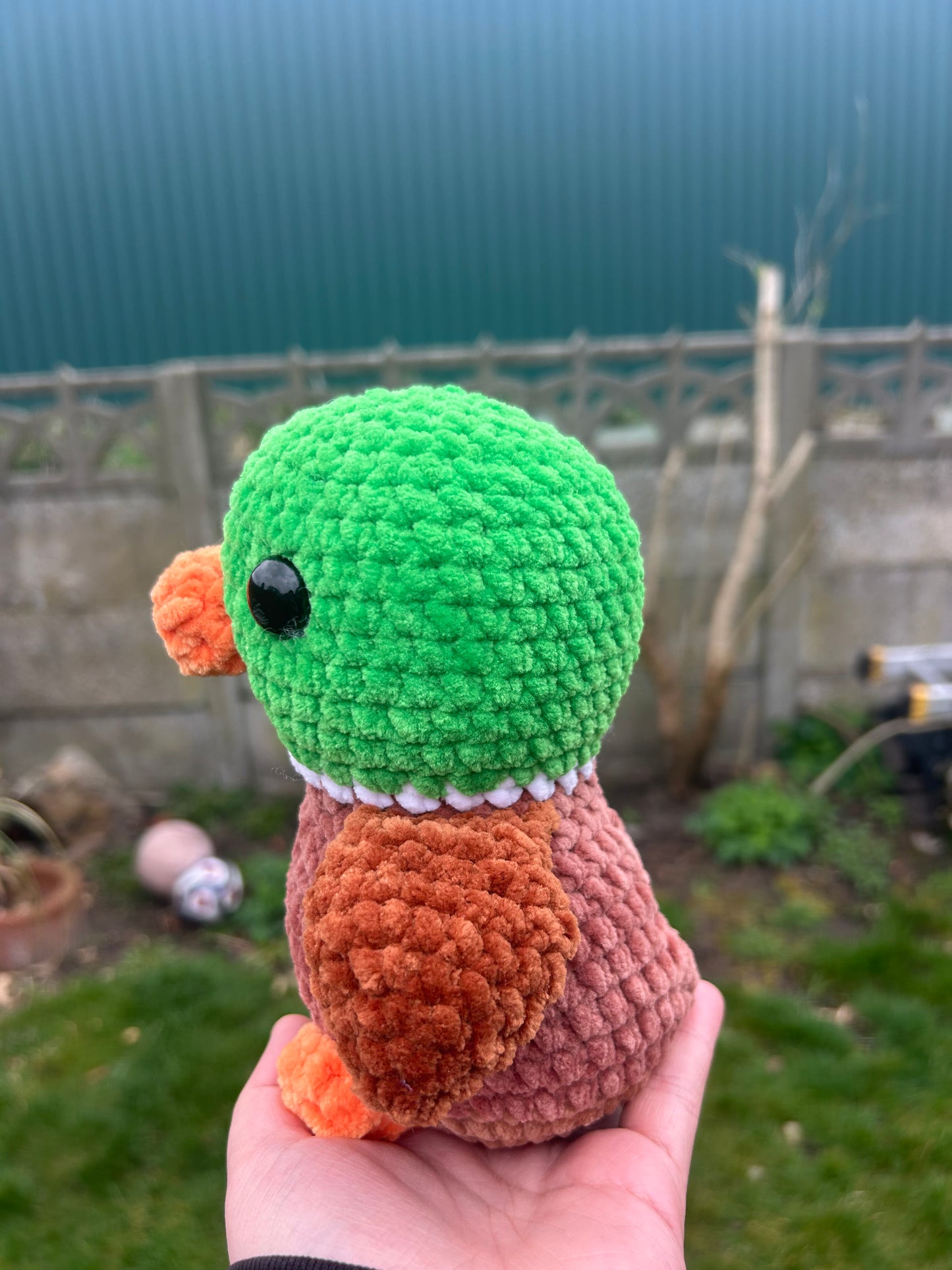 Duck