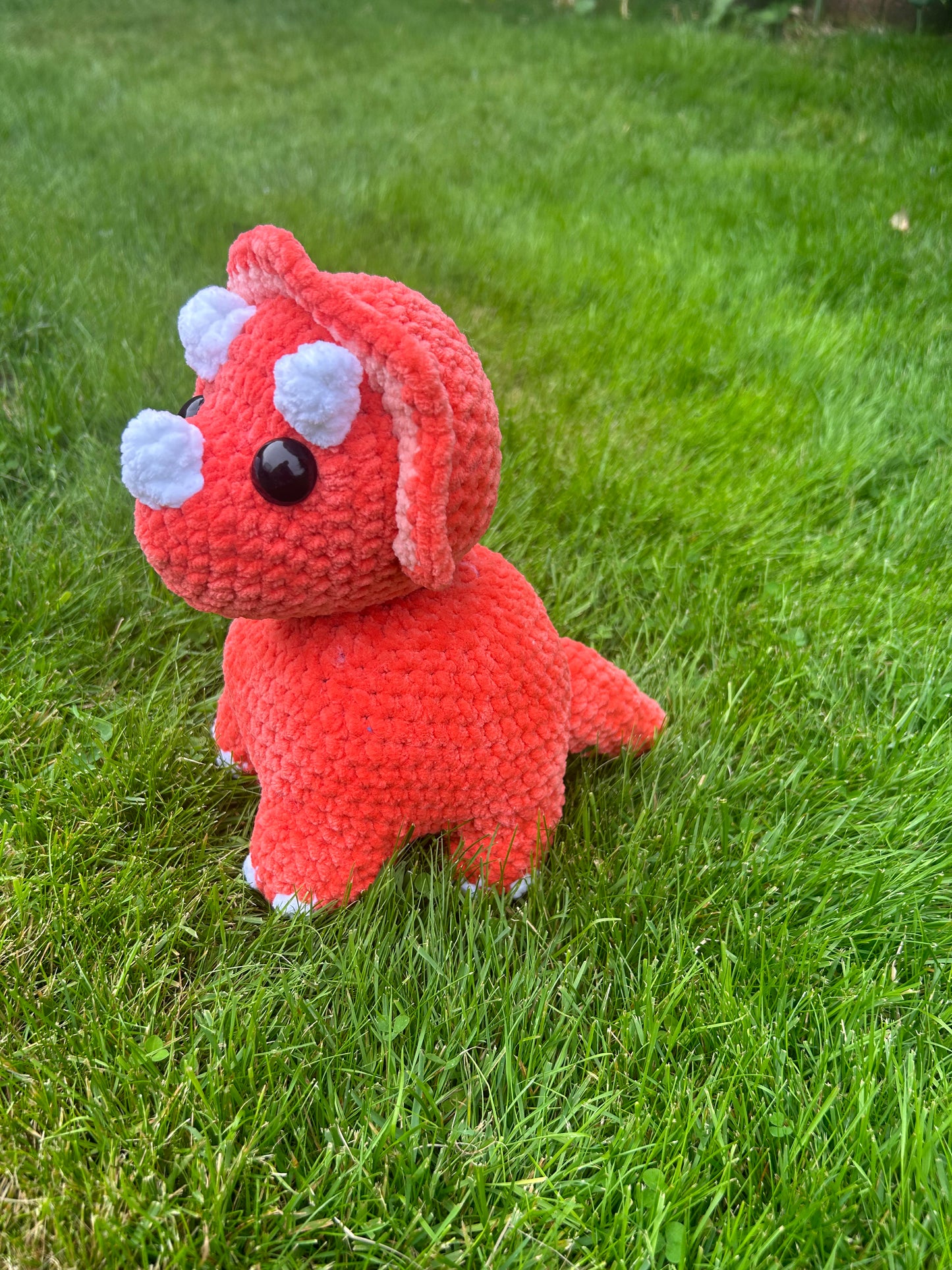 Triceratops
