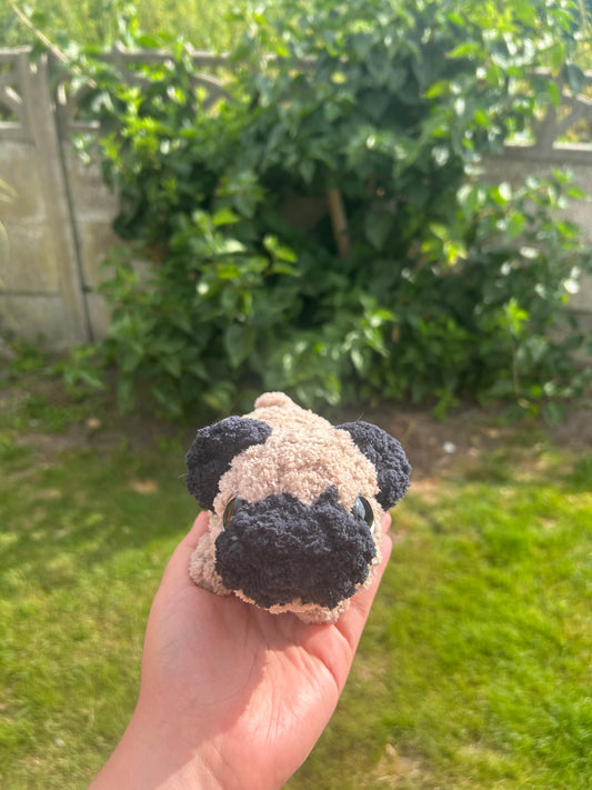 Pug