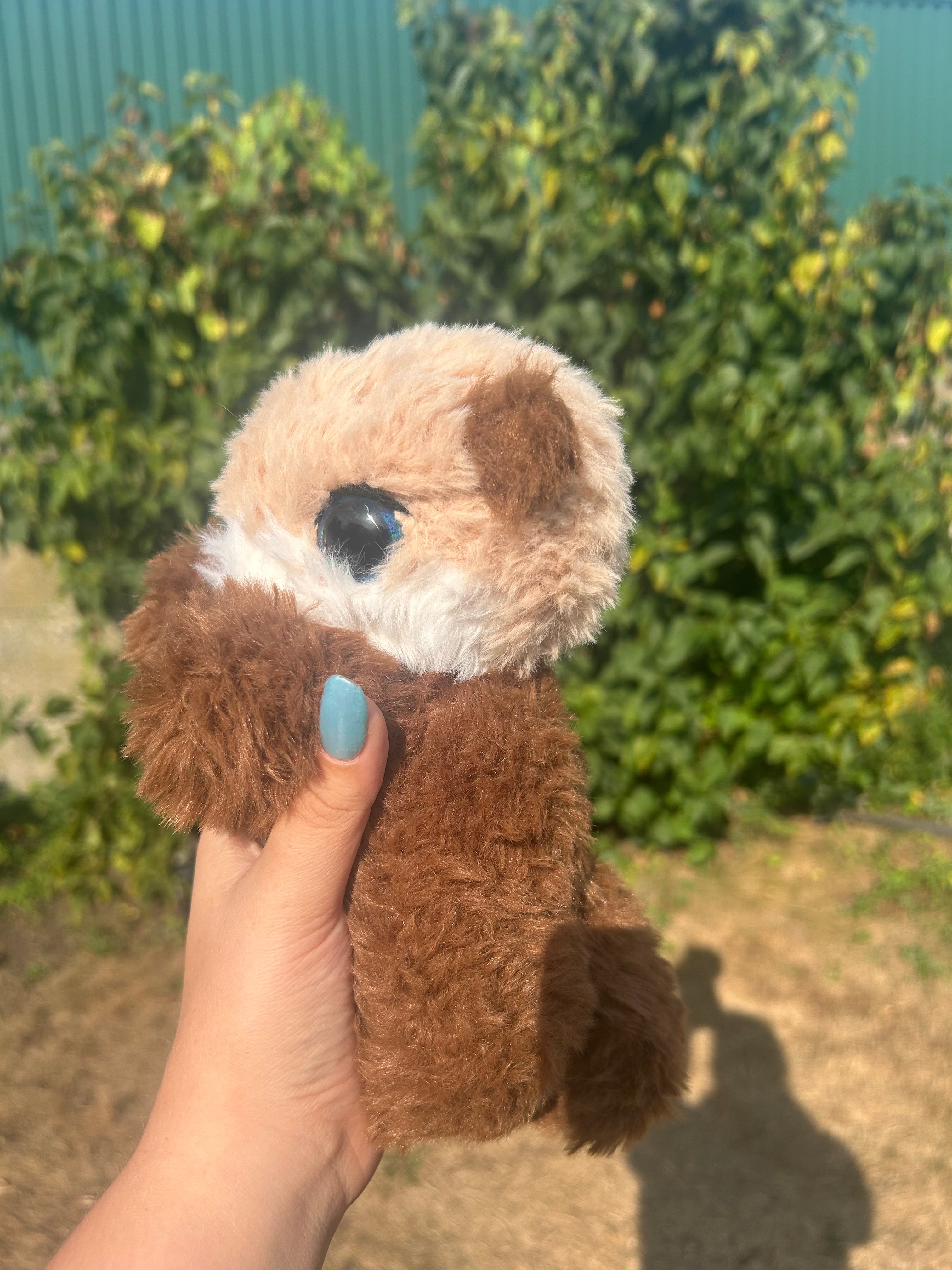 Sea otter