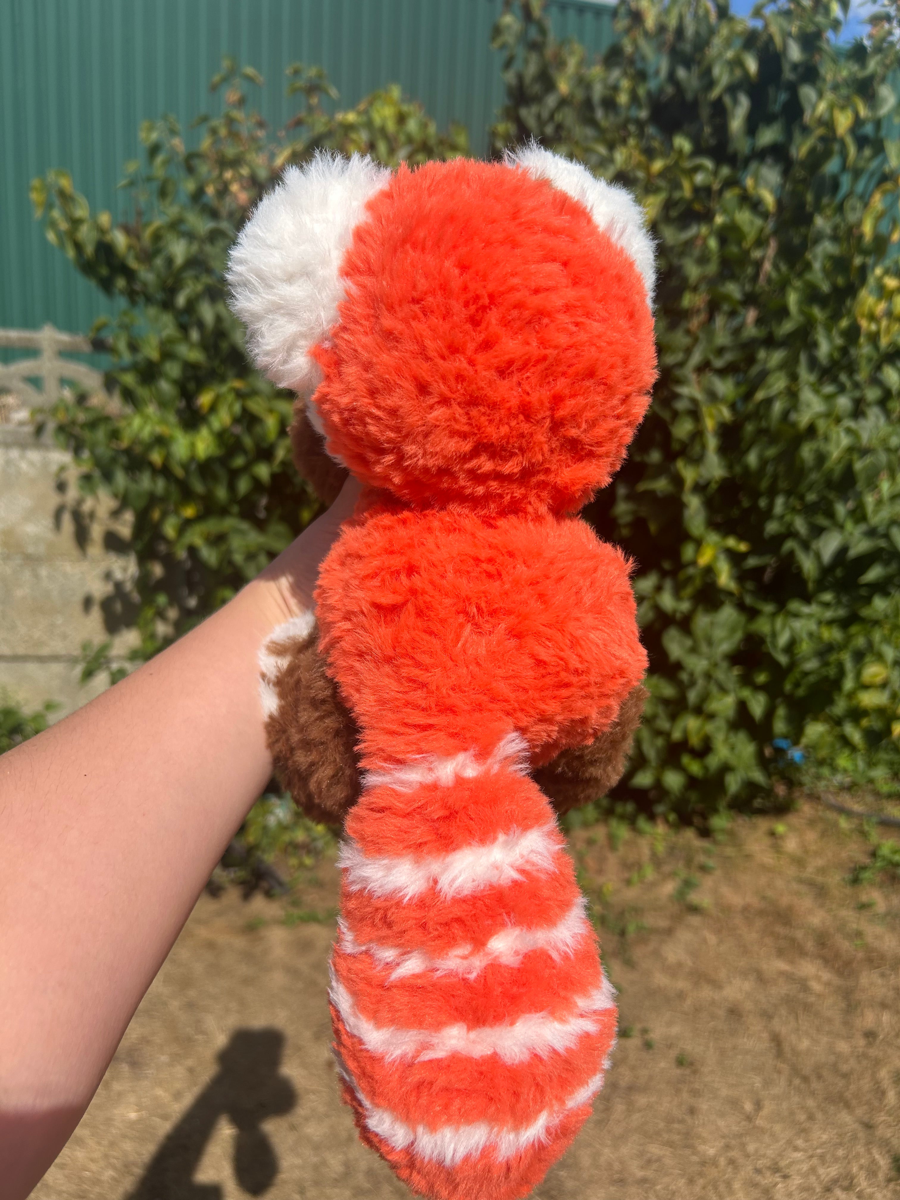 Red panda