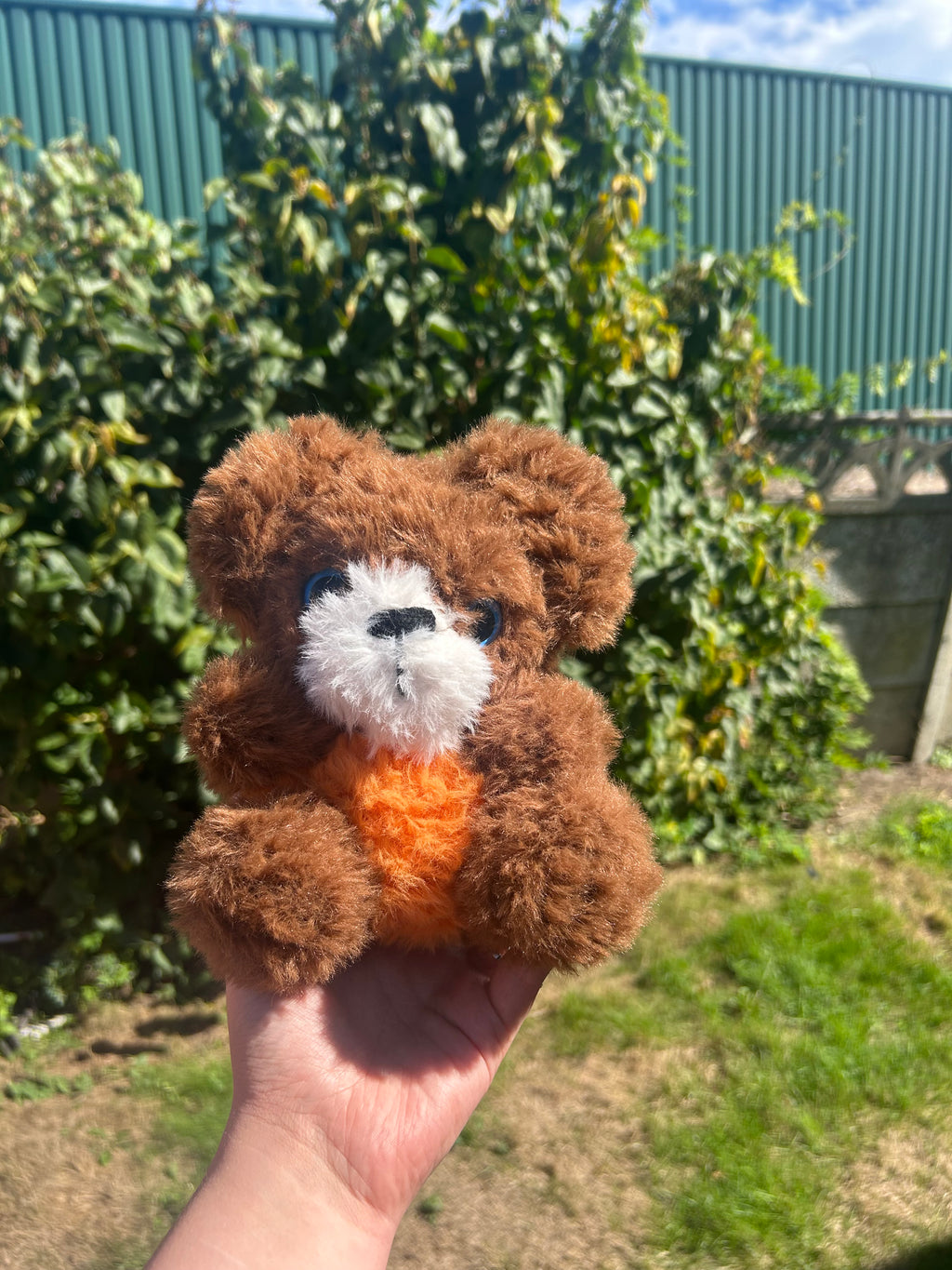Pumpkin bear
