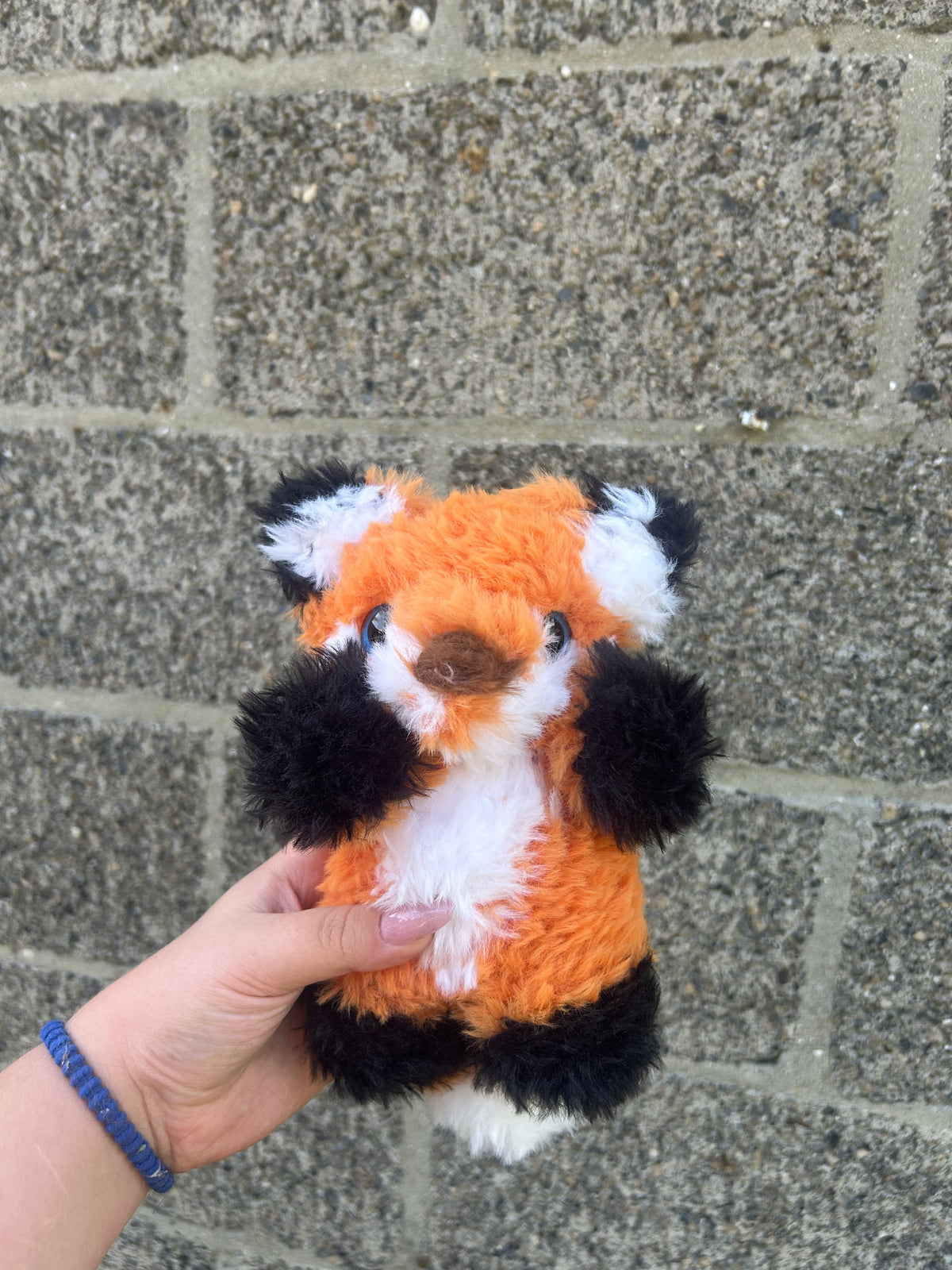 Fluffy fox