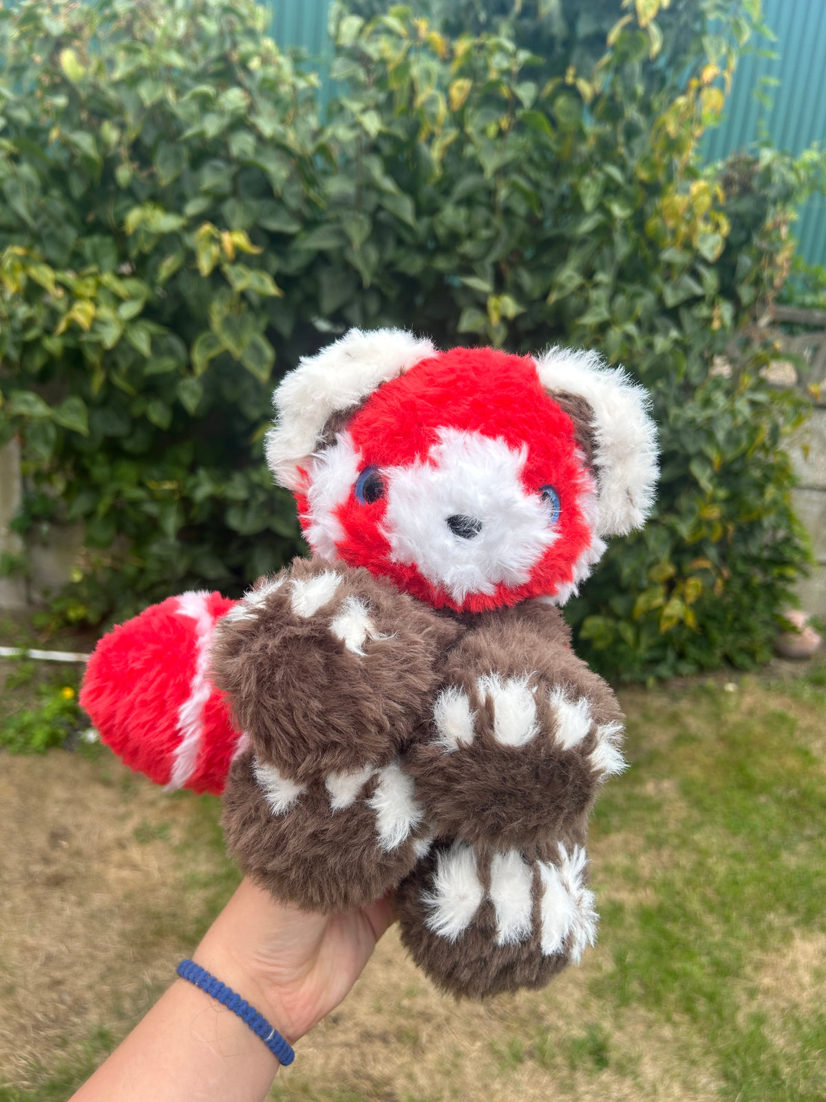 Red panda