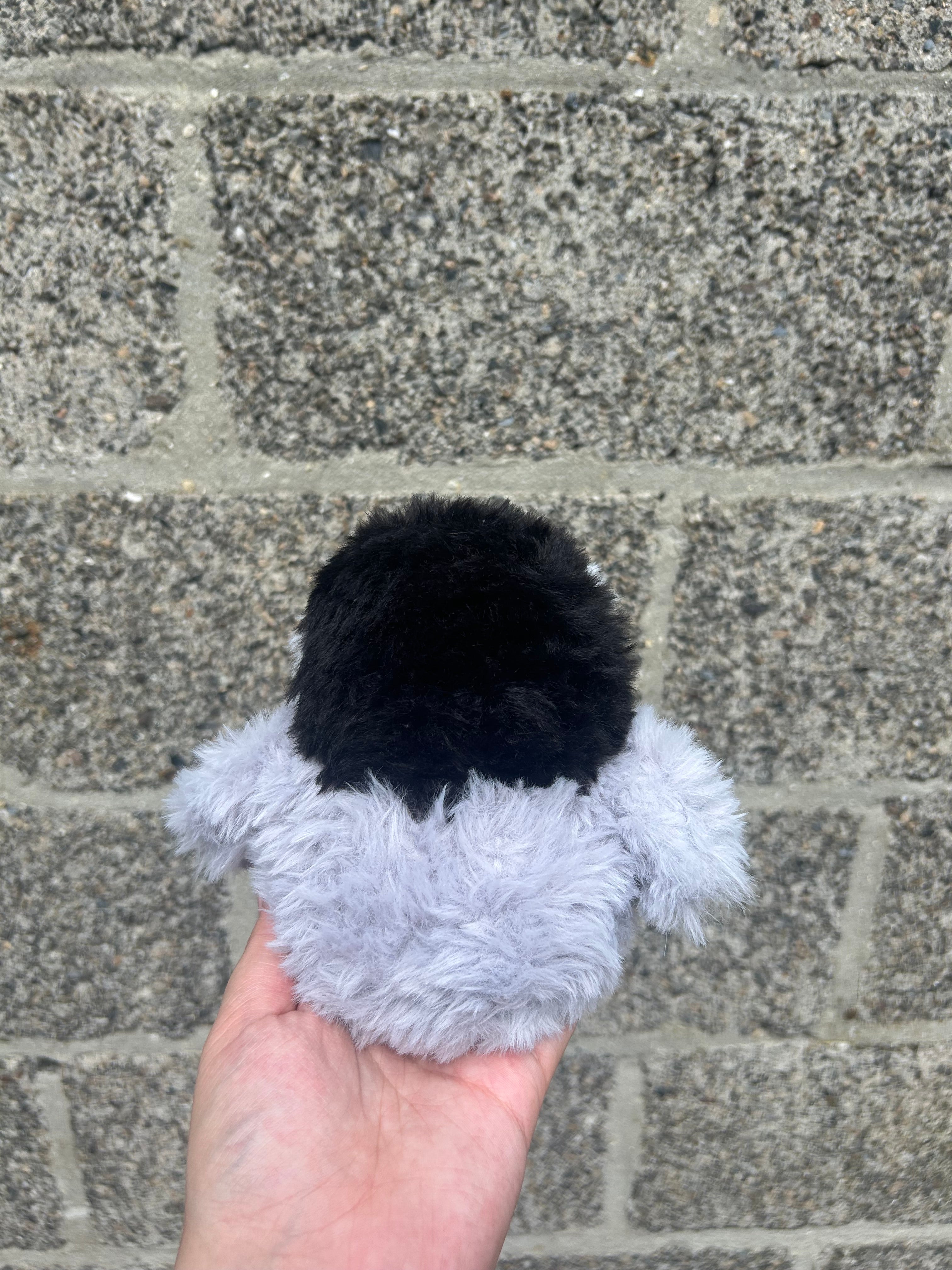 Baby penguin