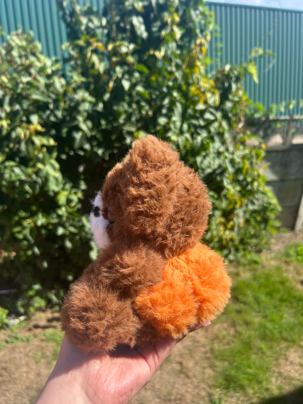 Pumpkin bear
