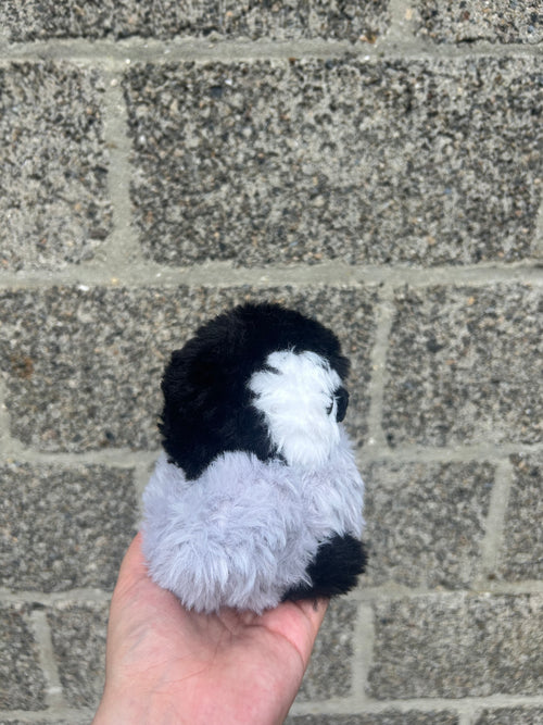 Baby penguin