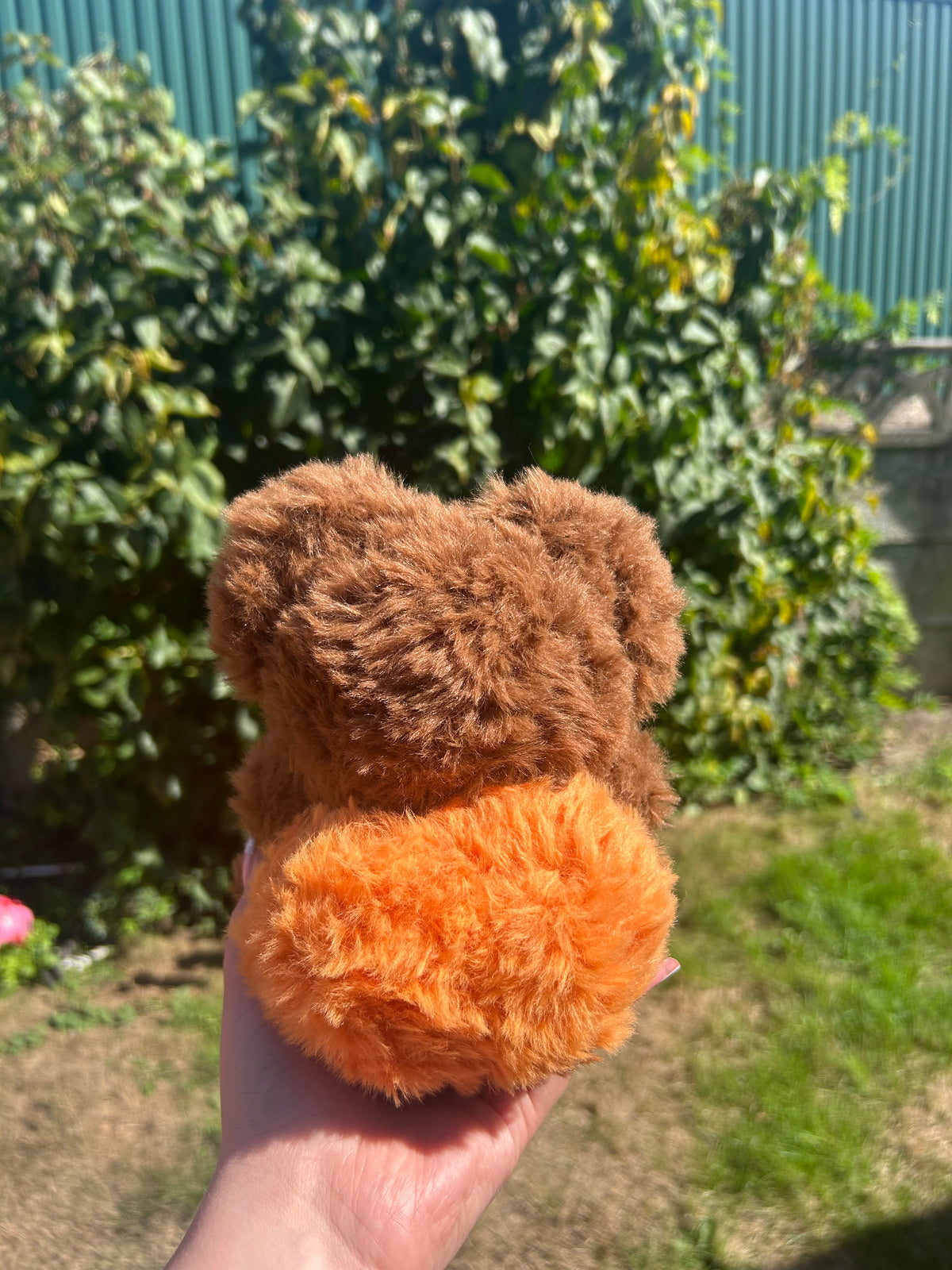 Pumpkin bear