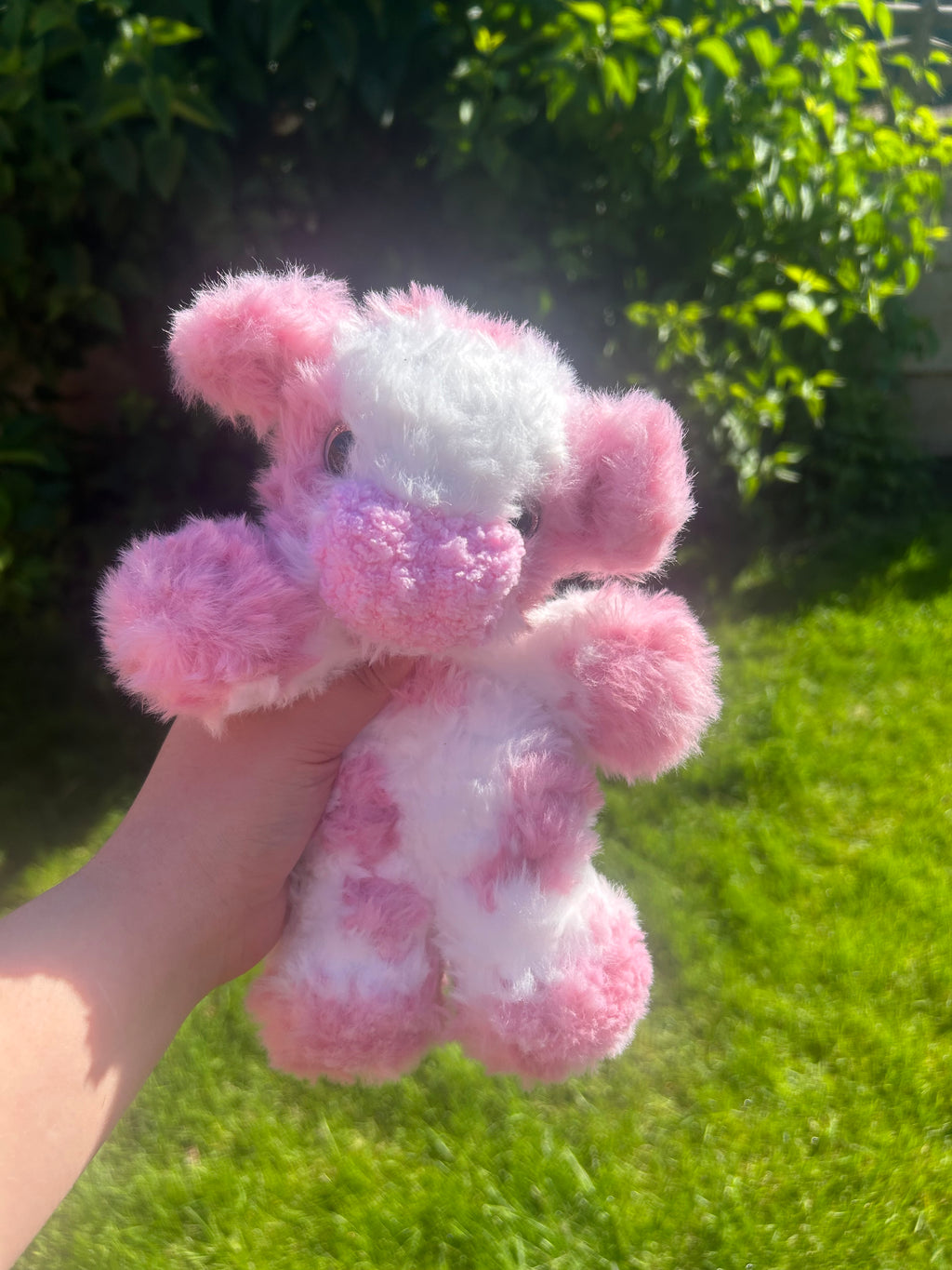 Baby cow pink