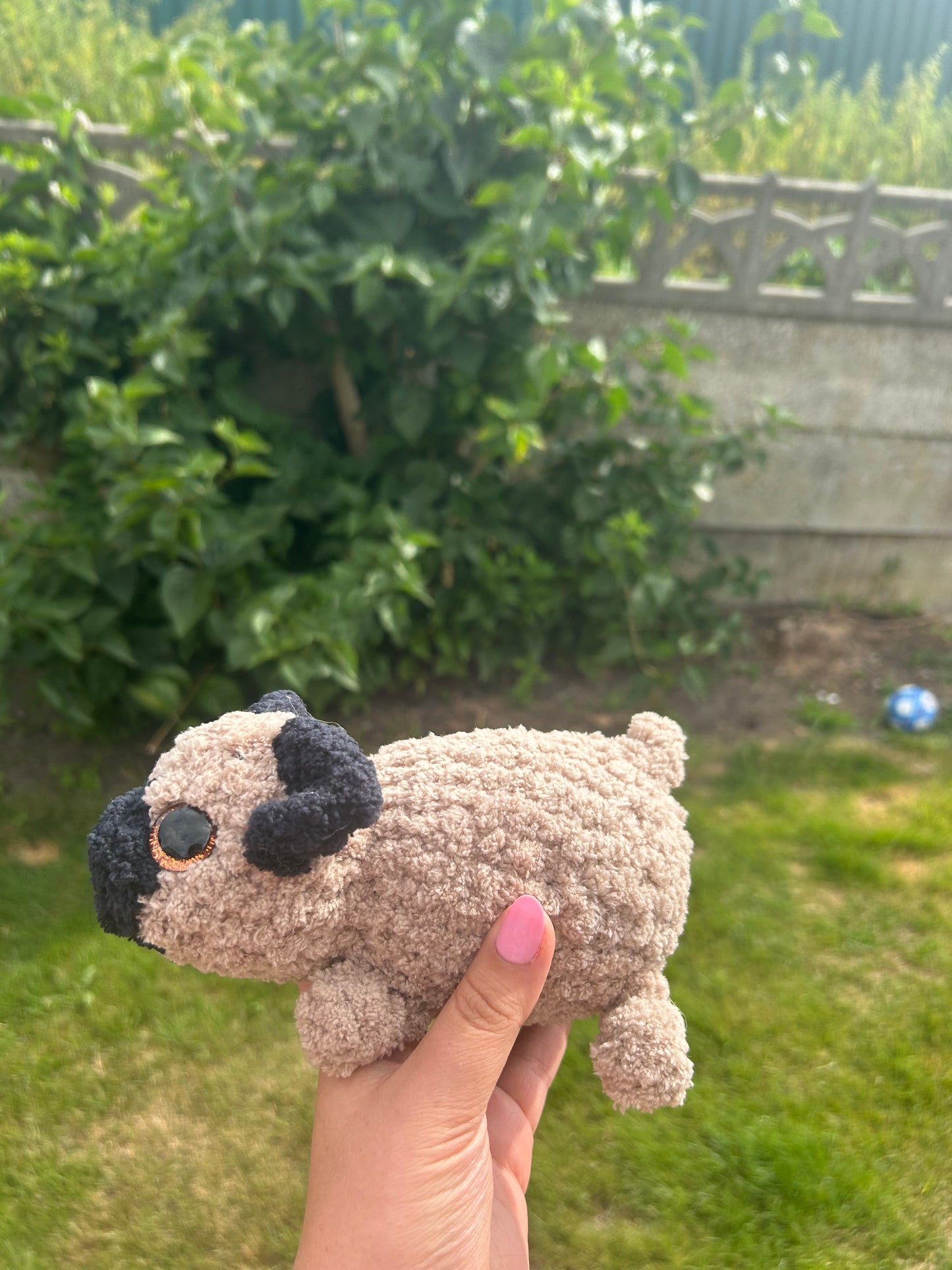 Pug