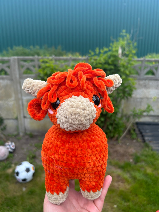 Highland cow
