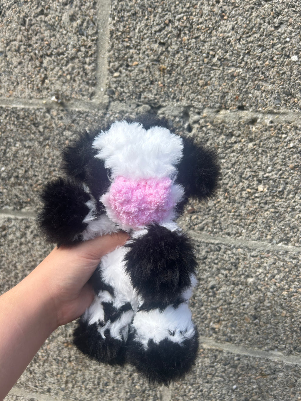 Baby cow black