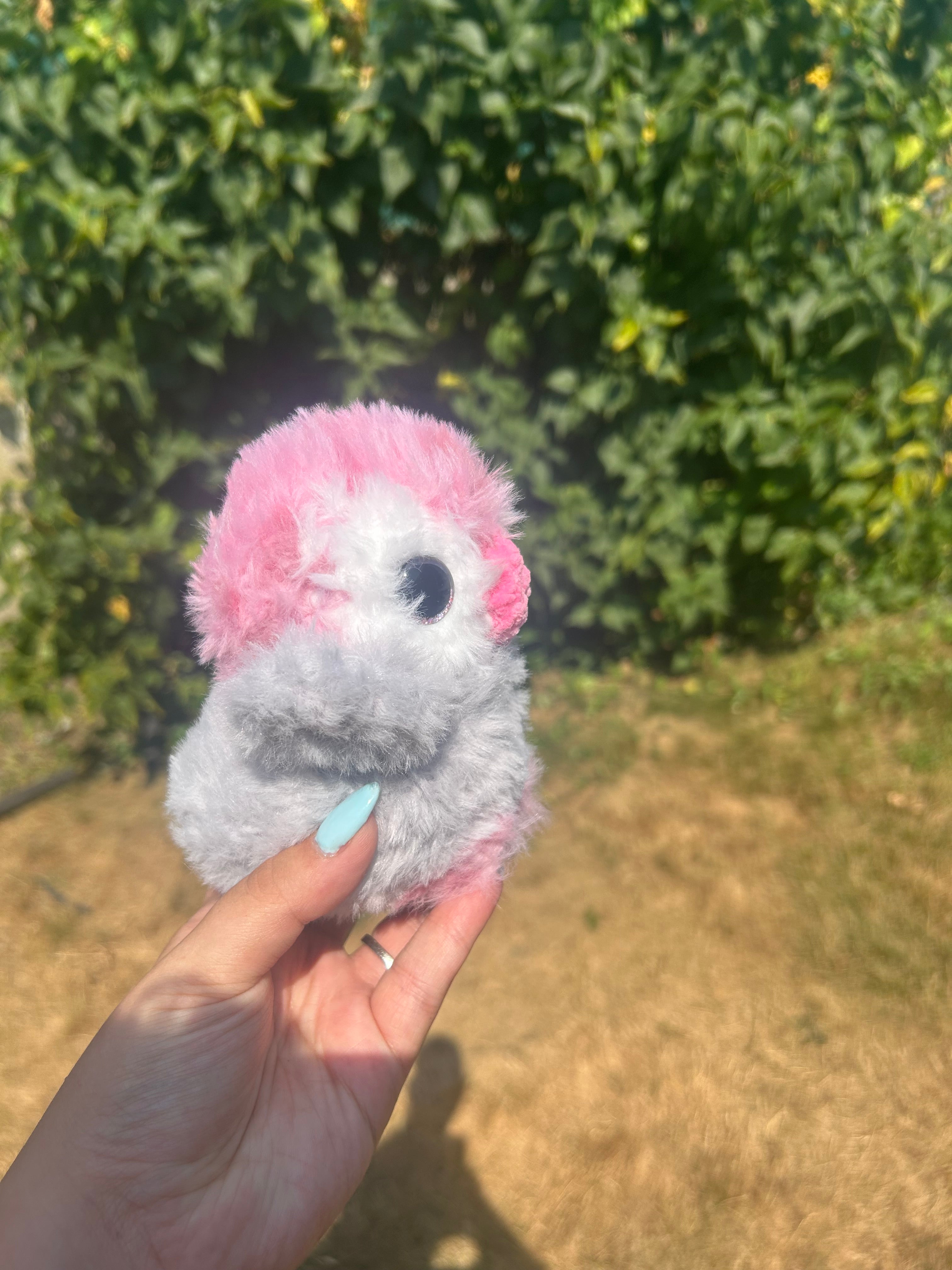 Baby penguin
