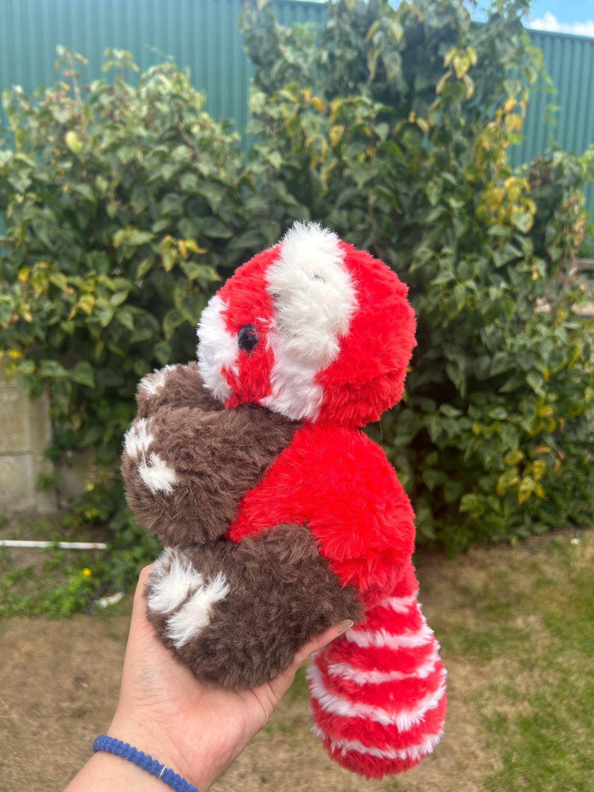 Red panda