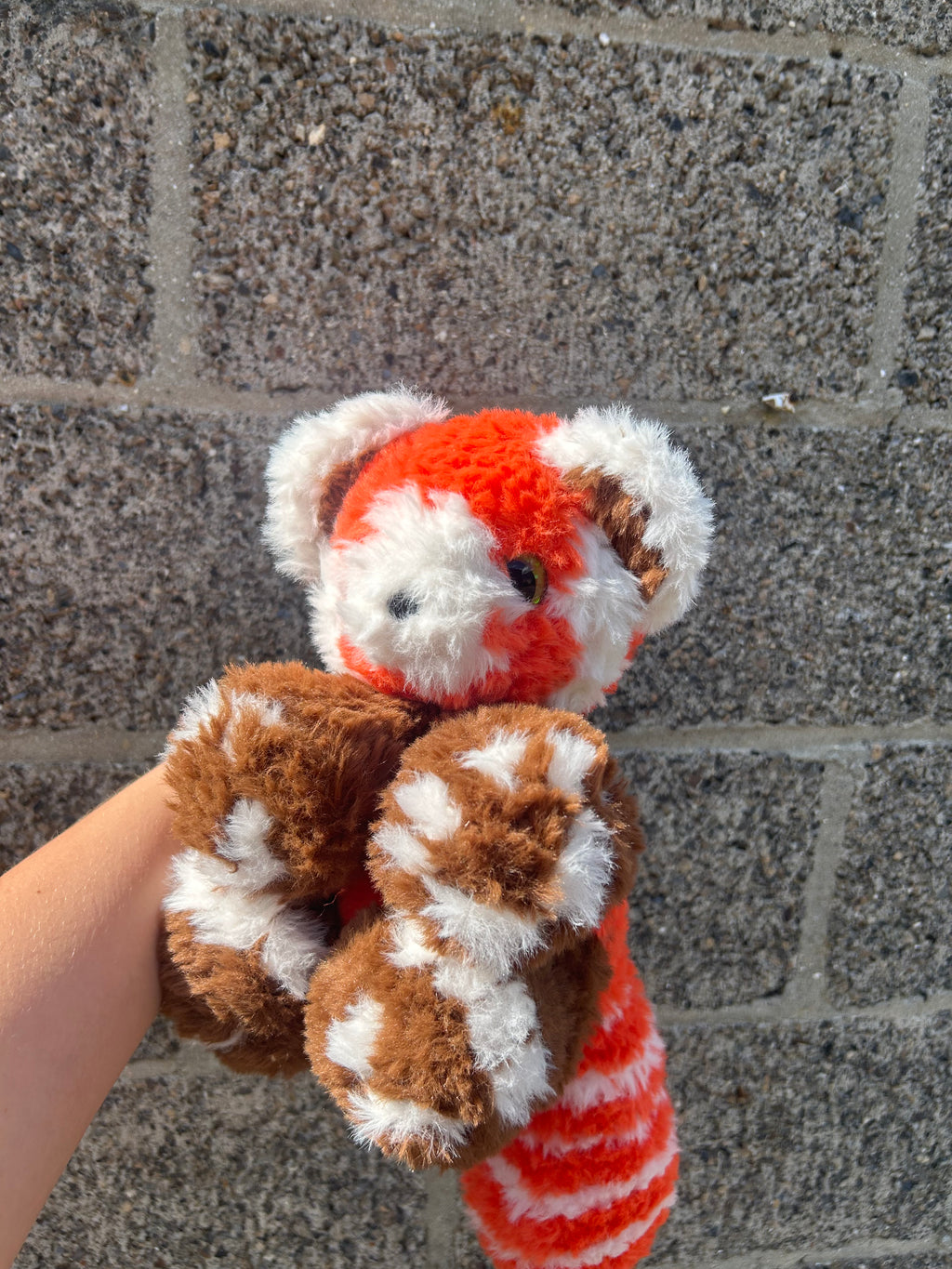 Red panda