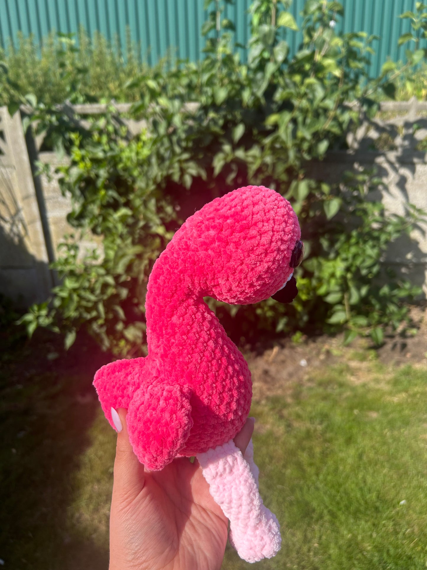 Flamingo