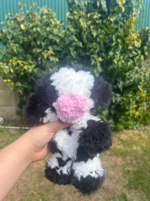 Baby cow black