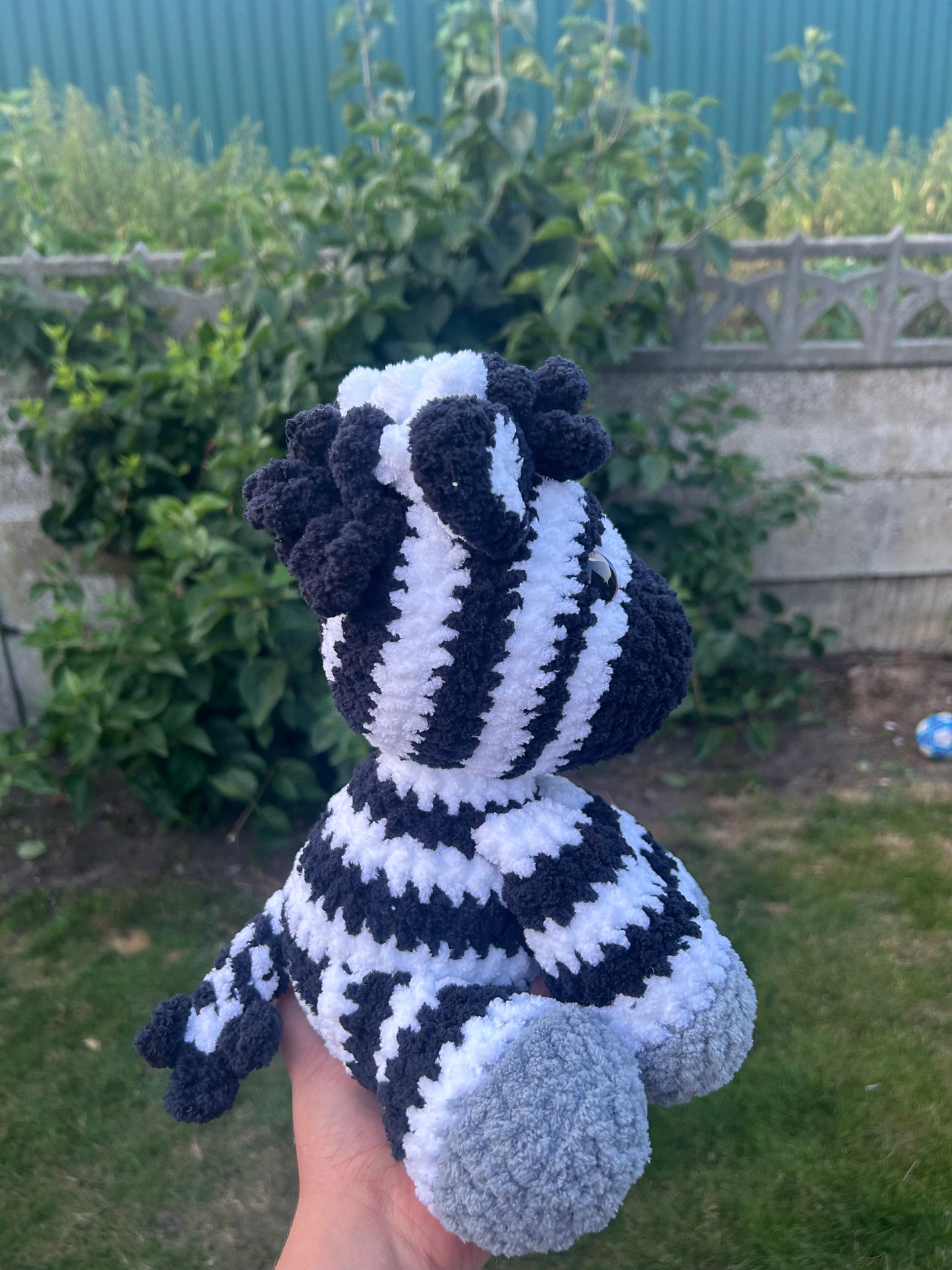 Zebra