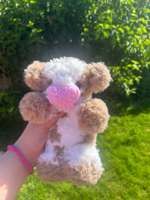 Baby cow brown