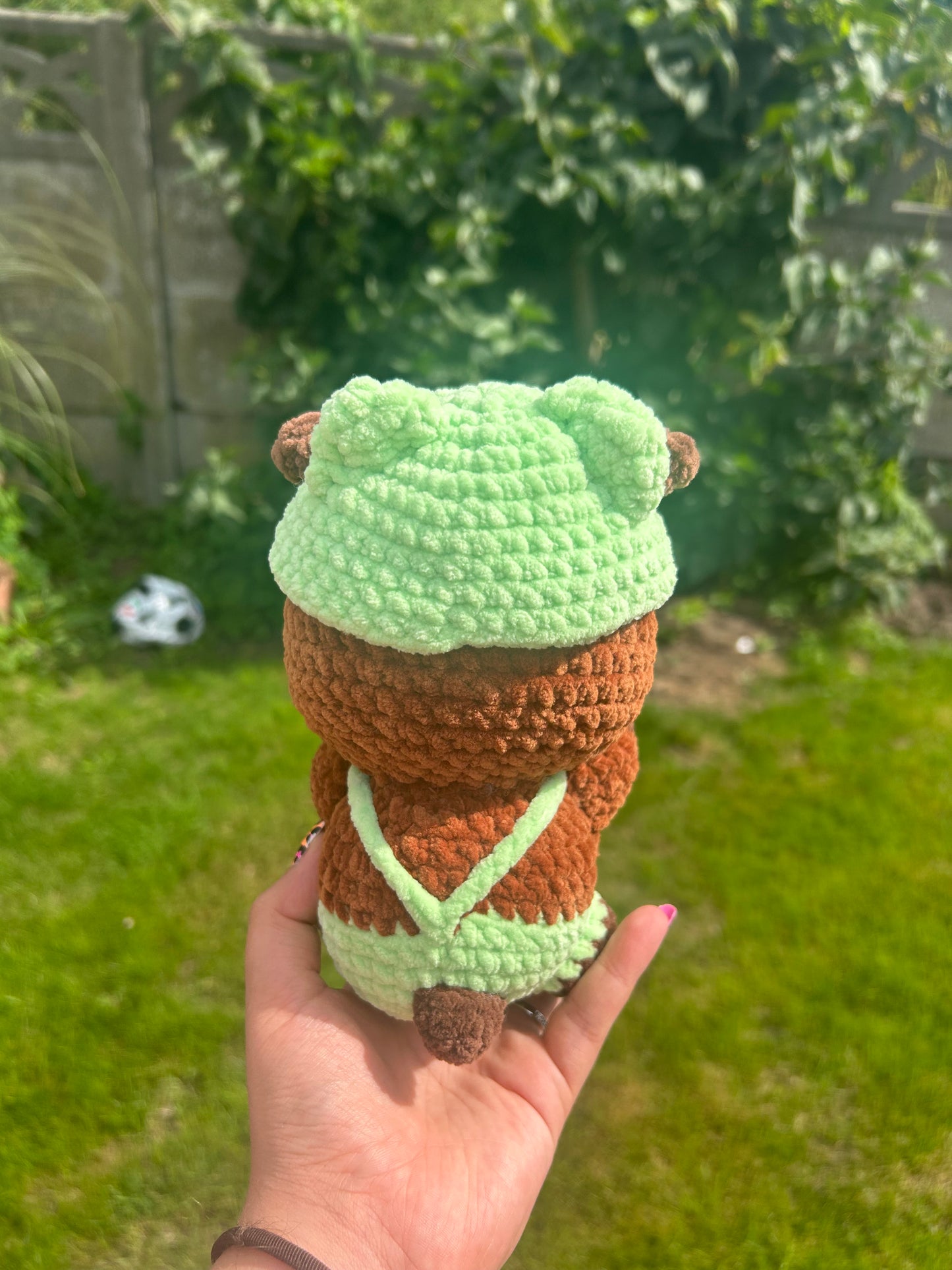 Capybara frog