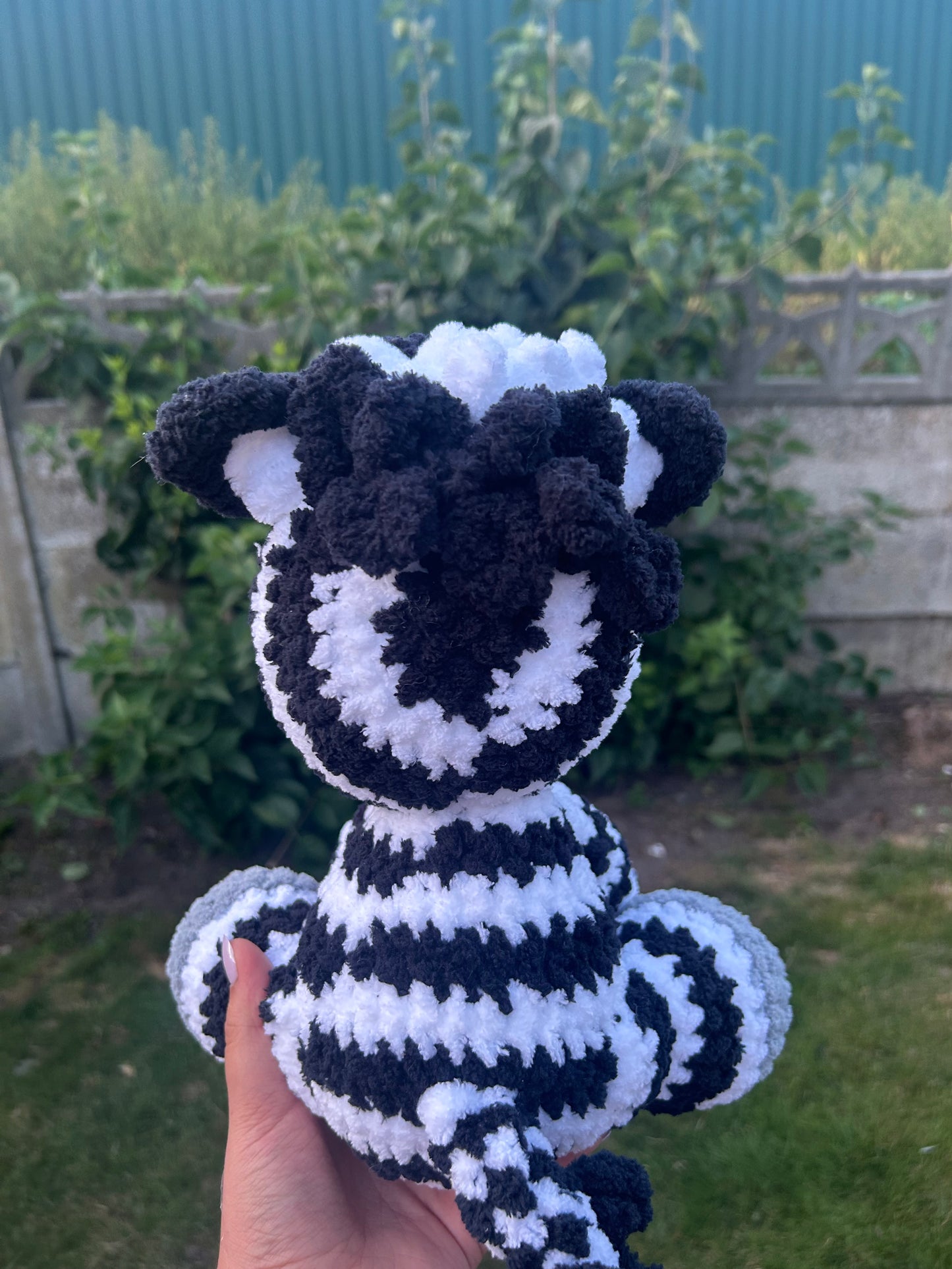 Zebra