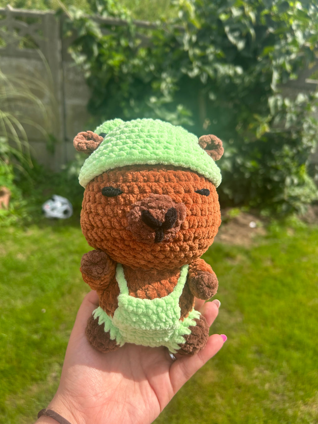 Capybara frog