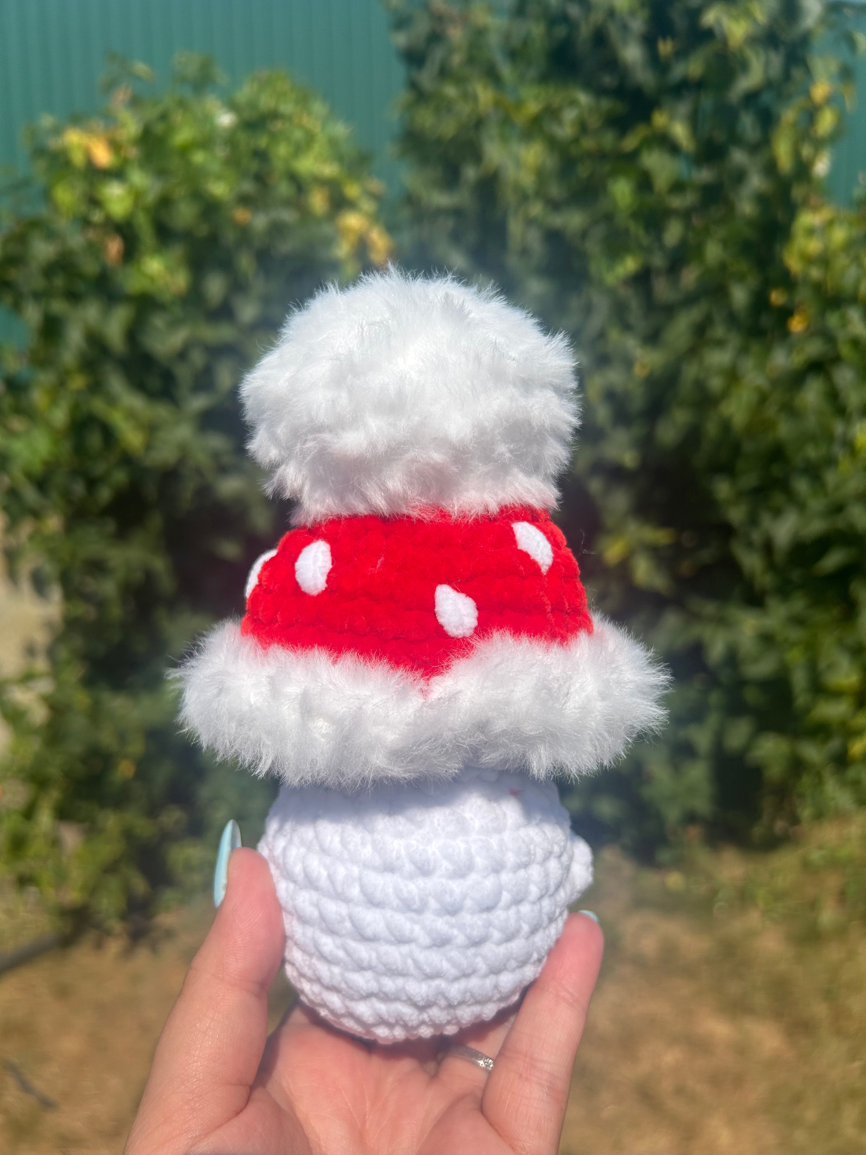 Baby mushroom