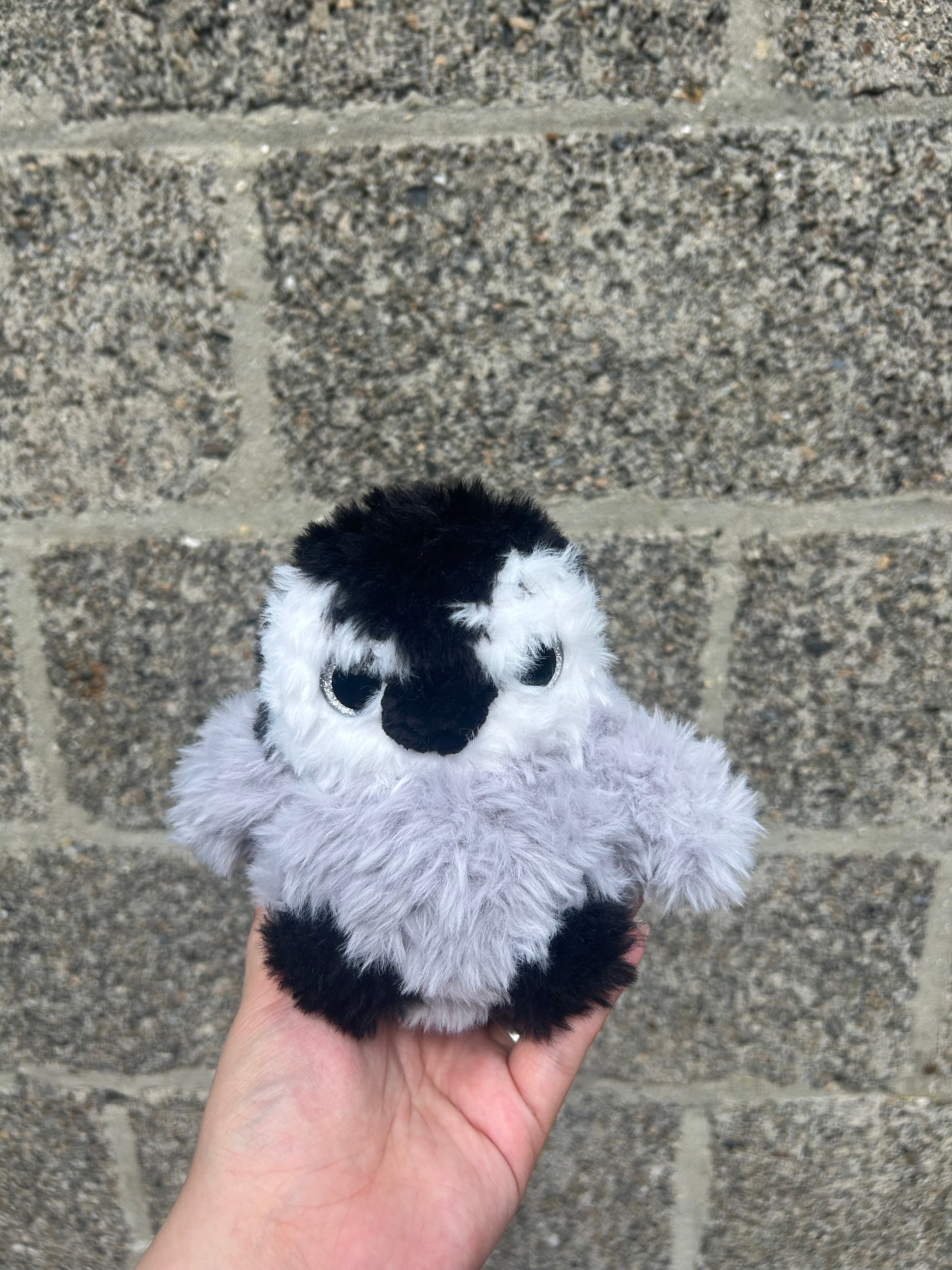 Baby penguin