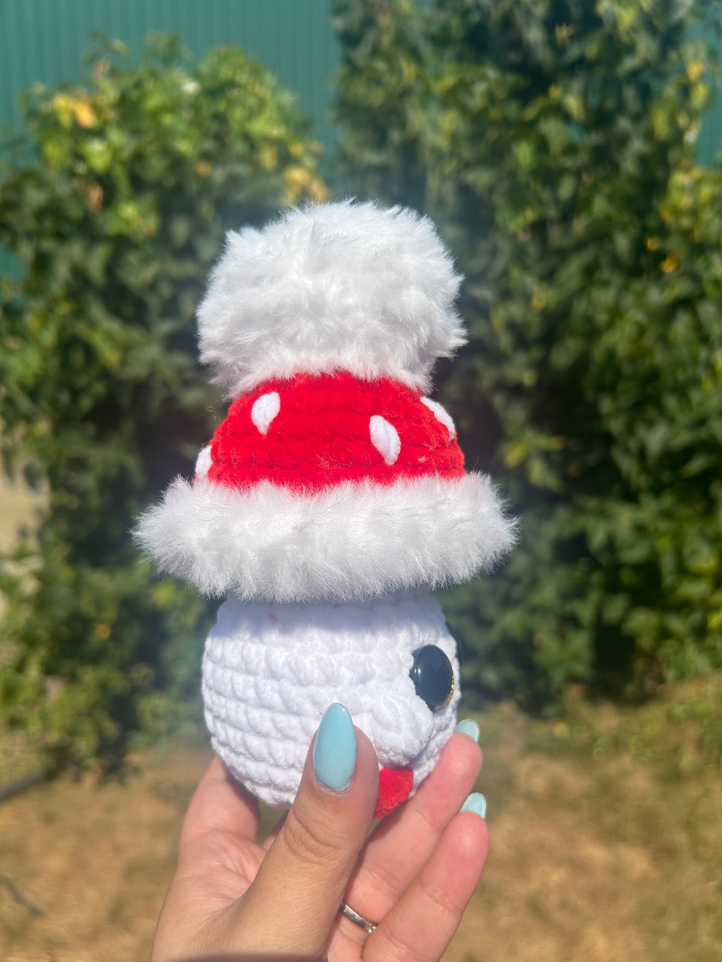 Baby mushroom